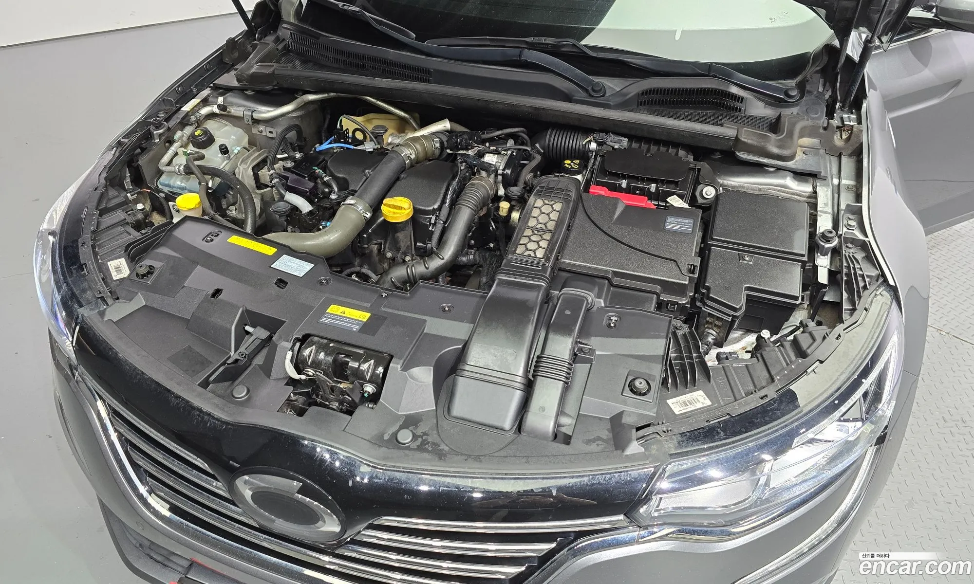 Renault Korea Samsung Sm6 15 Dci Le - фотография 7430395