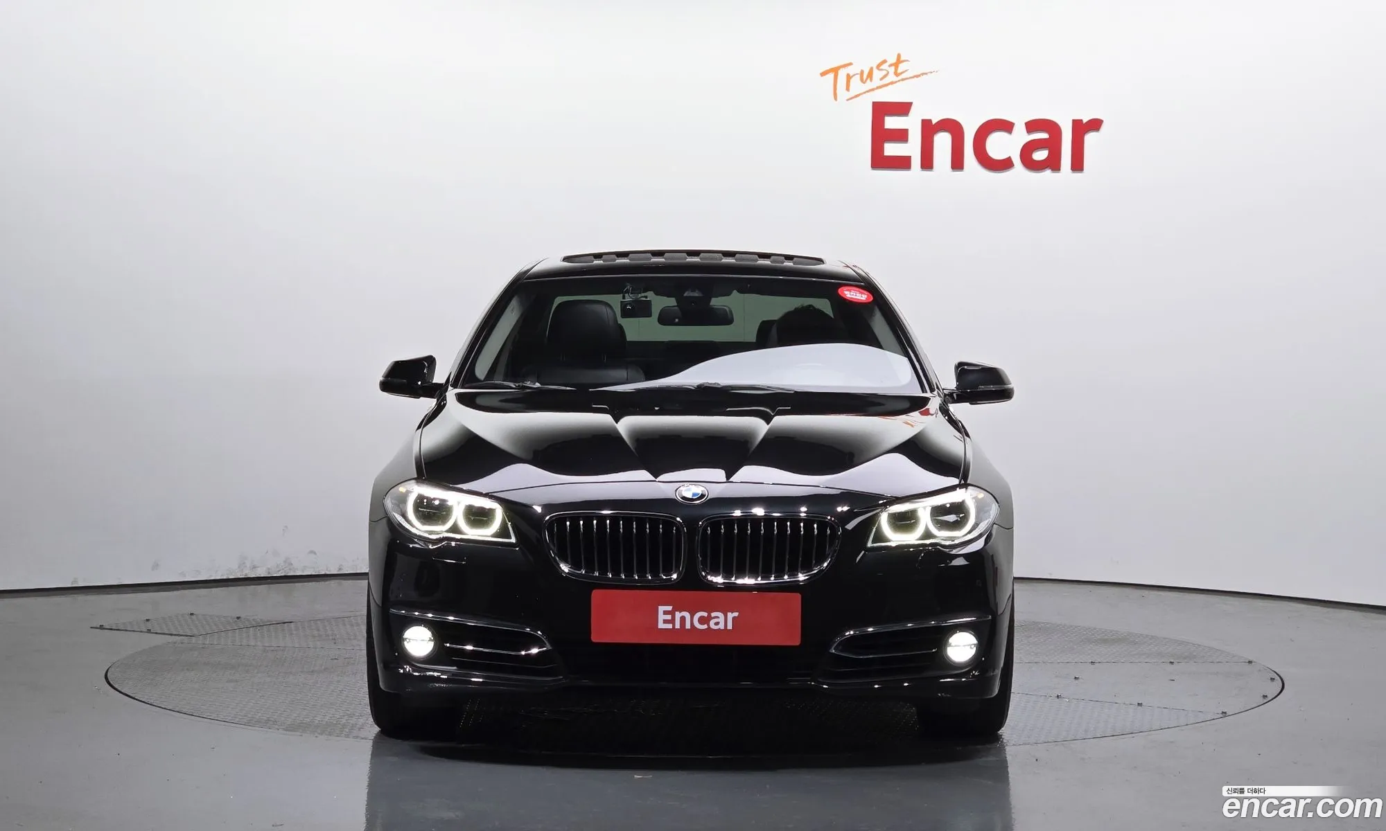 BMW 5 Series F10 520D Luxury - фотография 6811524