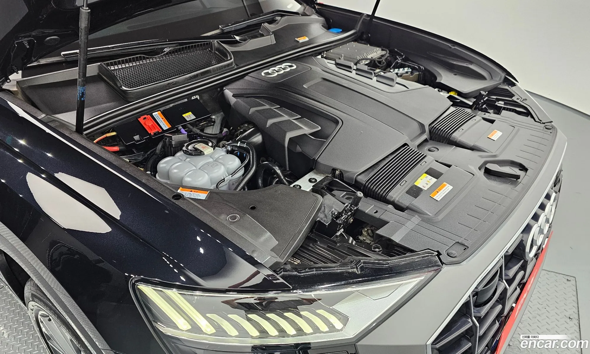 Audi Q8 4M 50 Tdi Quattro Premium - фотография 1536419
