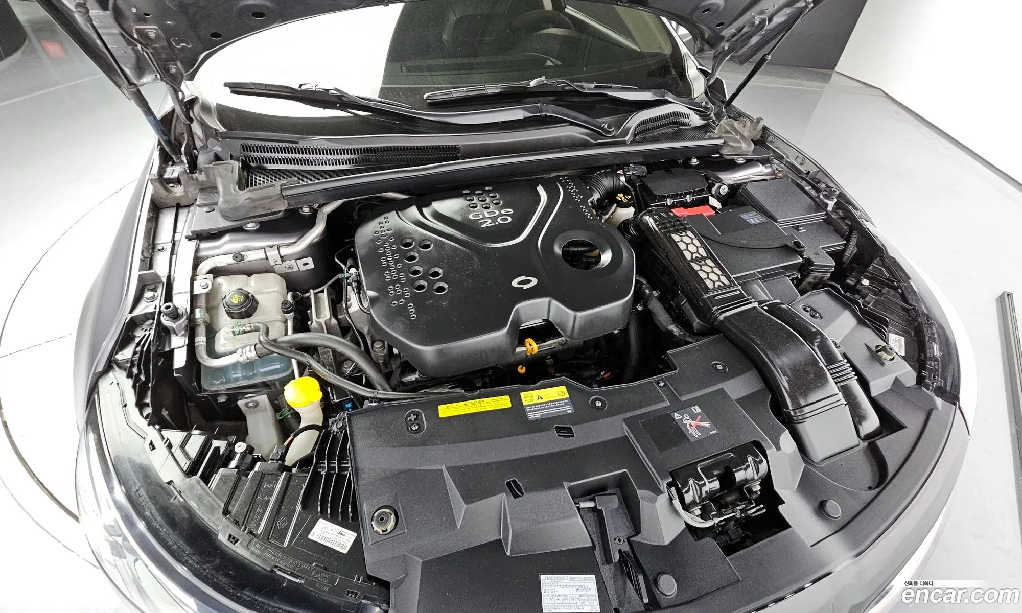 Renault Korea Samsung Sm6 20 Gde Le - фотография 7834917