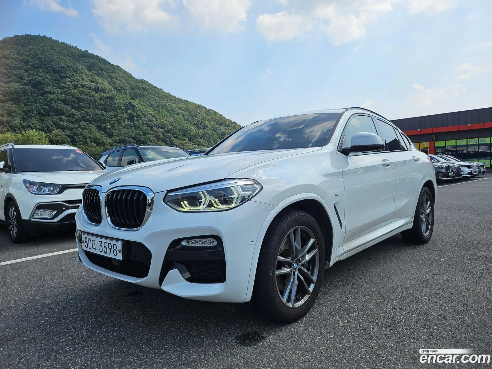BMW X4 G02 xDrive20D M Sports - фотография 18629563