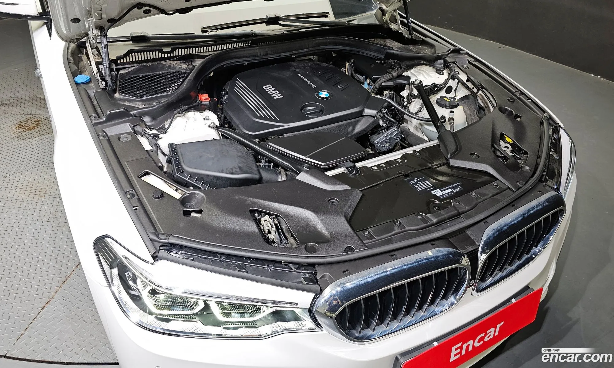BMW 5 Series G30 520D xDrive M Sport Plus - фотография 4824582