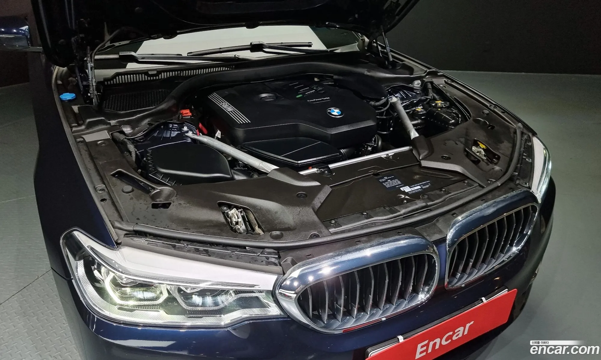 BMW 5 Series G30 530I xDrive Luxury Plus - фотография 8222309