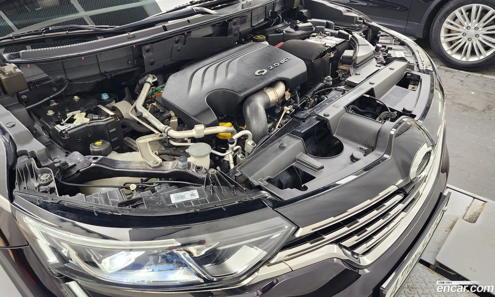 Renault Korea Samsung Qm6 Diesel 4Wd Re Signature - фотография 8219434