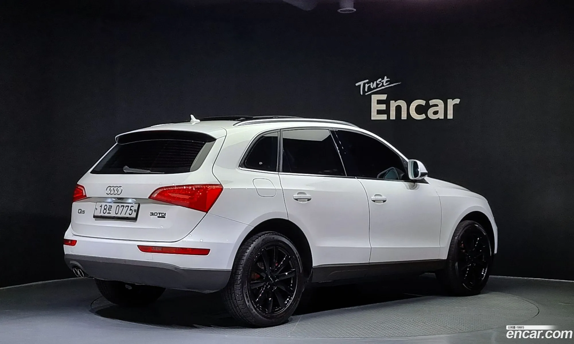 Audi Q5 20 Tdi Quattro Dynamic 8R - фотография 1219726