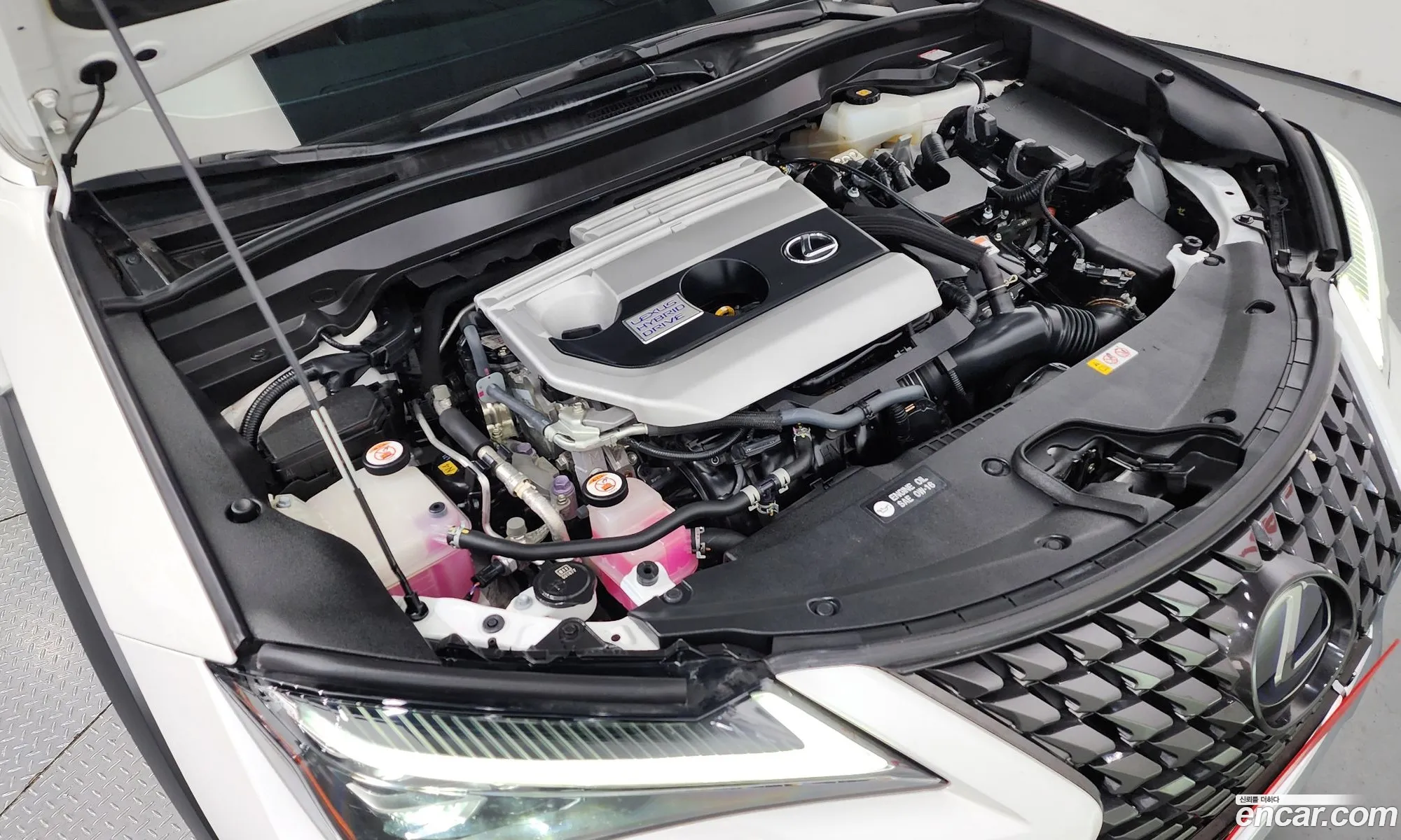 Lexus Ux250H 20 Awd - фотография 6570301