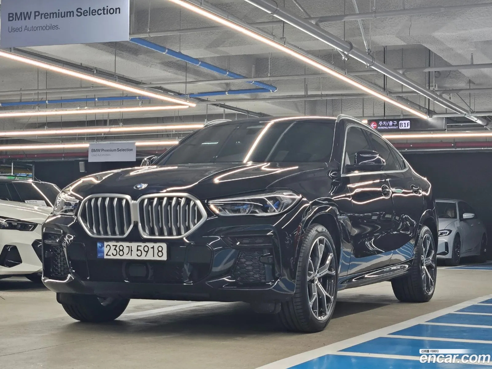 BMW X6 G06 xDrive30D M Sports - фотография 8213494