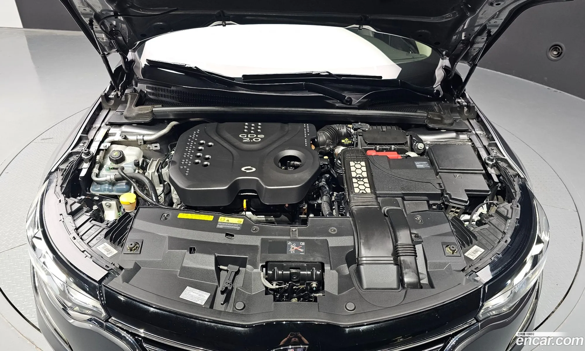 Renault Korea Samsung Sm6 20 Gde Re - фотография 7769686