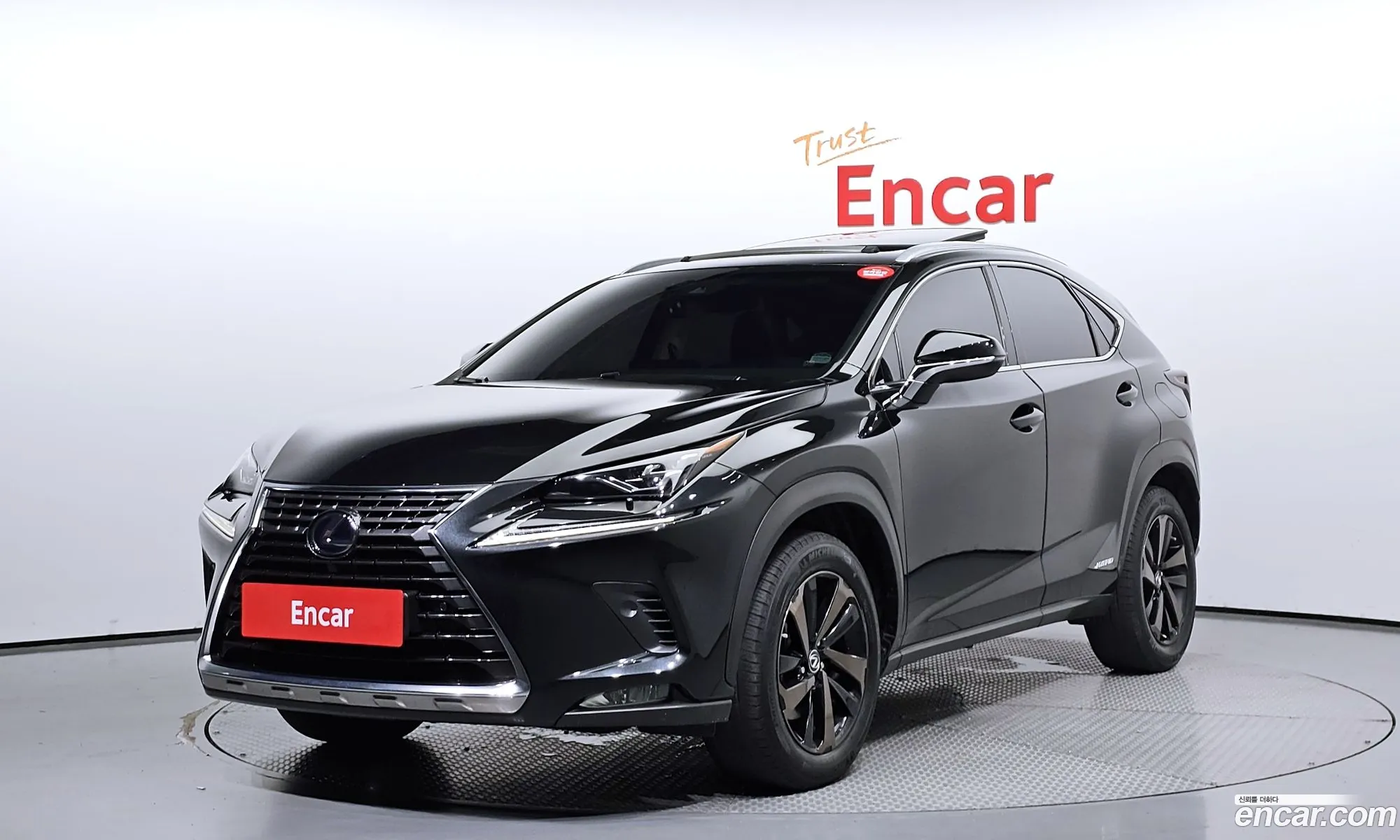 Lexus Nx300H Executive - фотография 6585592