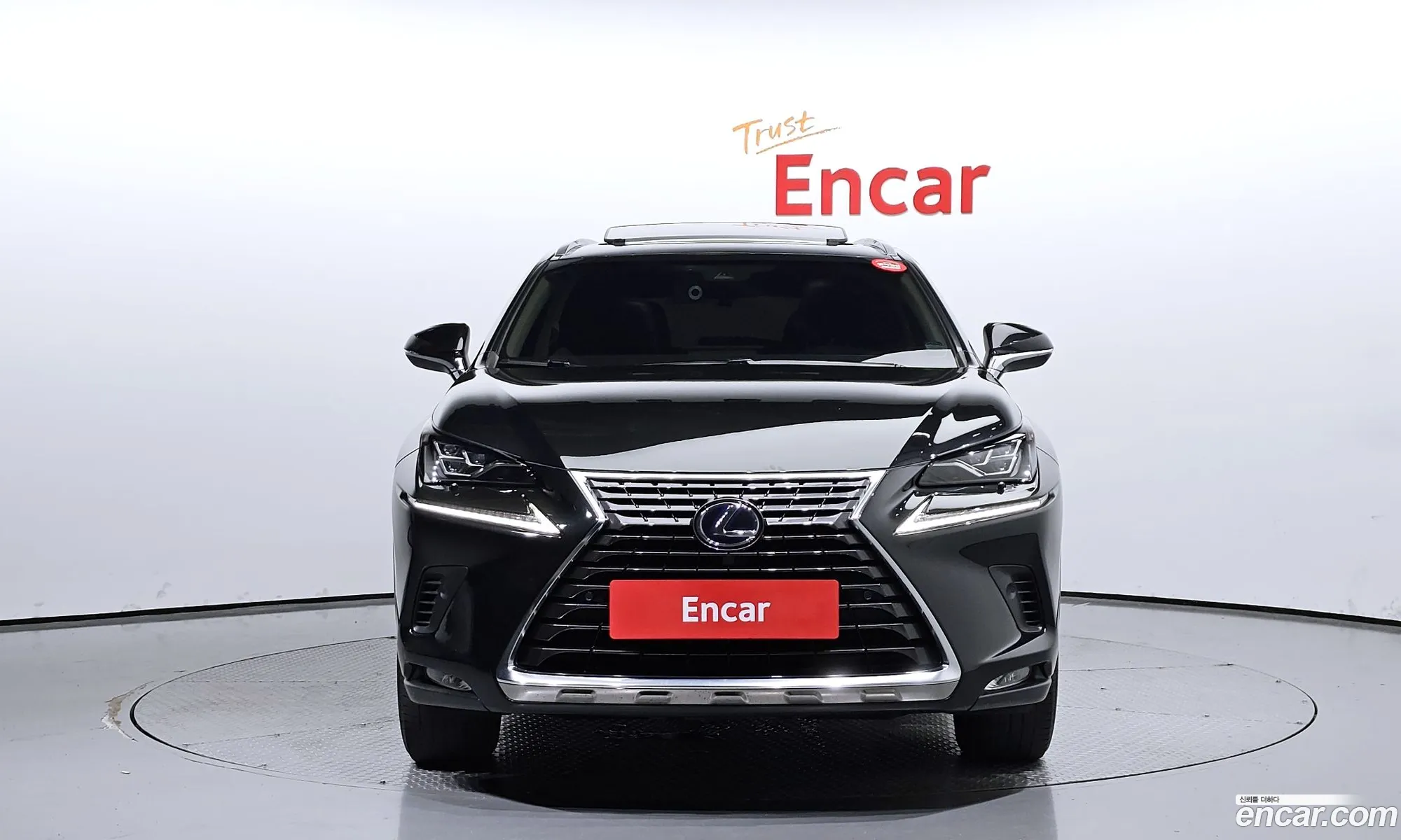 Lexus Nx300H Executive - фотография 6585594