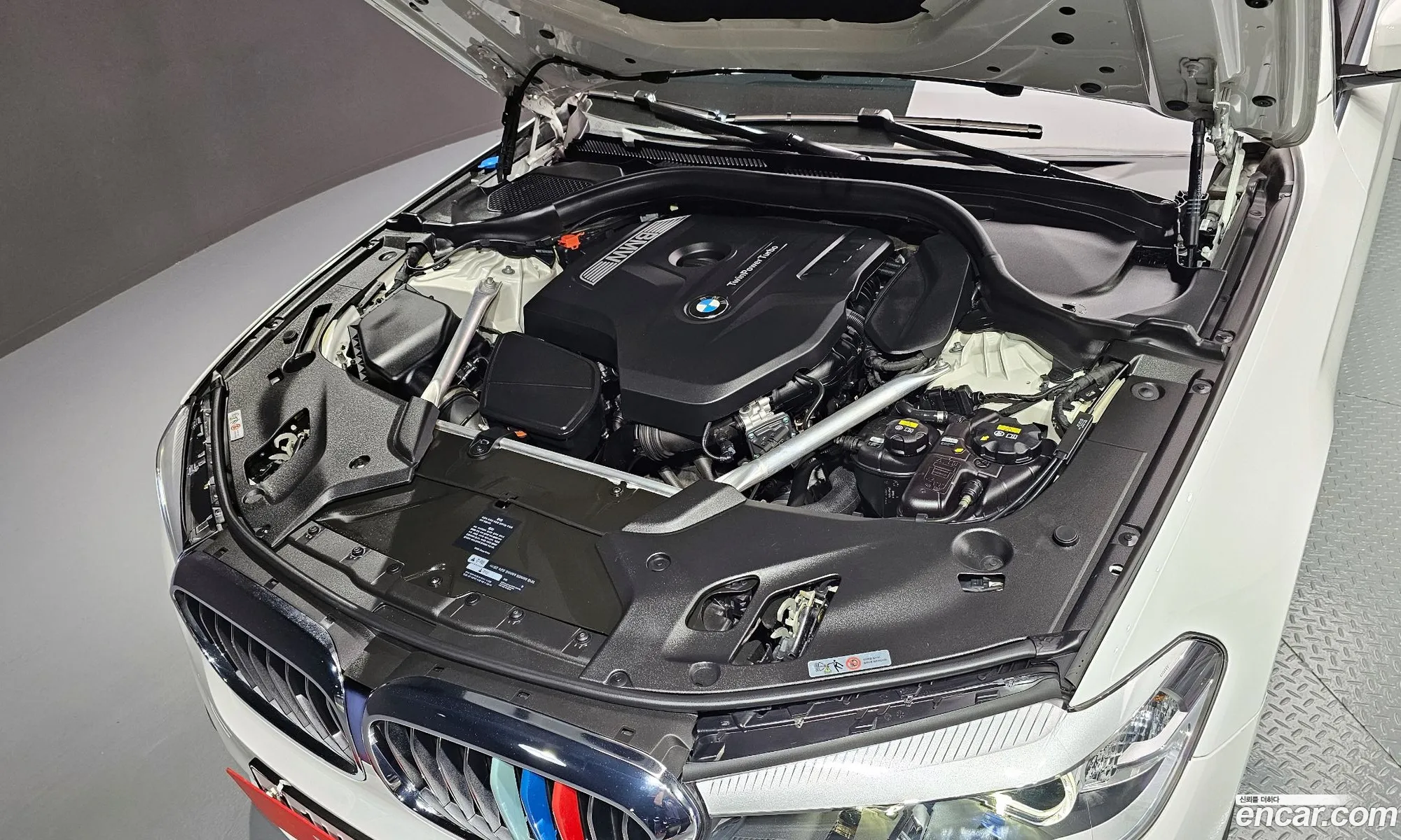 BMW 5 Series G30 520I Luxury - фотография 6463956