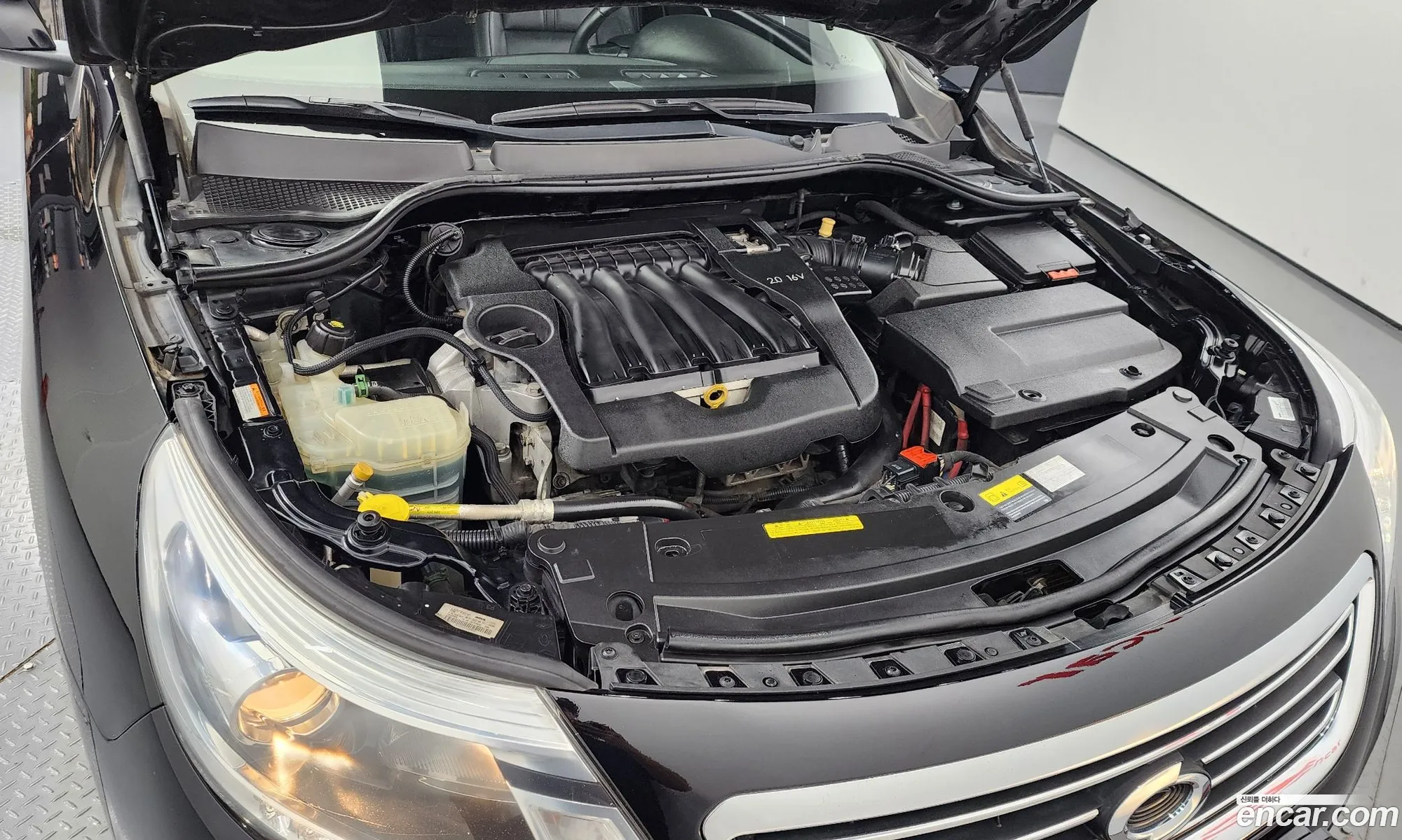 Renault Korea Samsung New Sm5 Platinum Le Basic Type - фотография 8232629