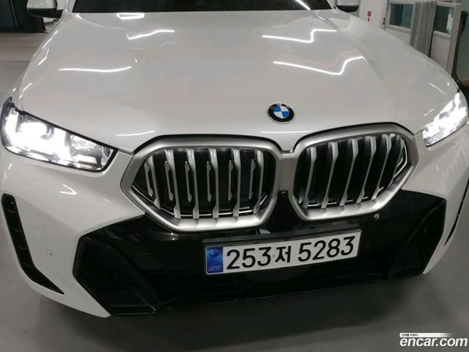BMW X6 G06 xDrive40I M Sports - фотография 8047487