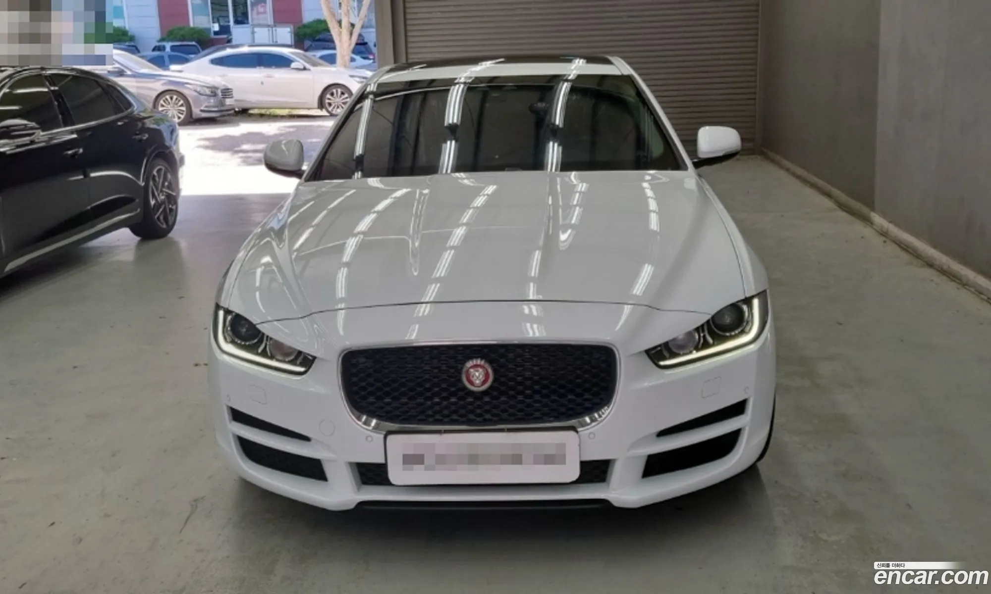 Jaguar Xe 20D Portfolio - фотография 3904233