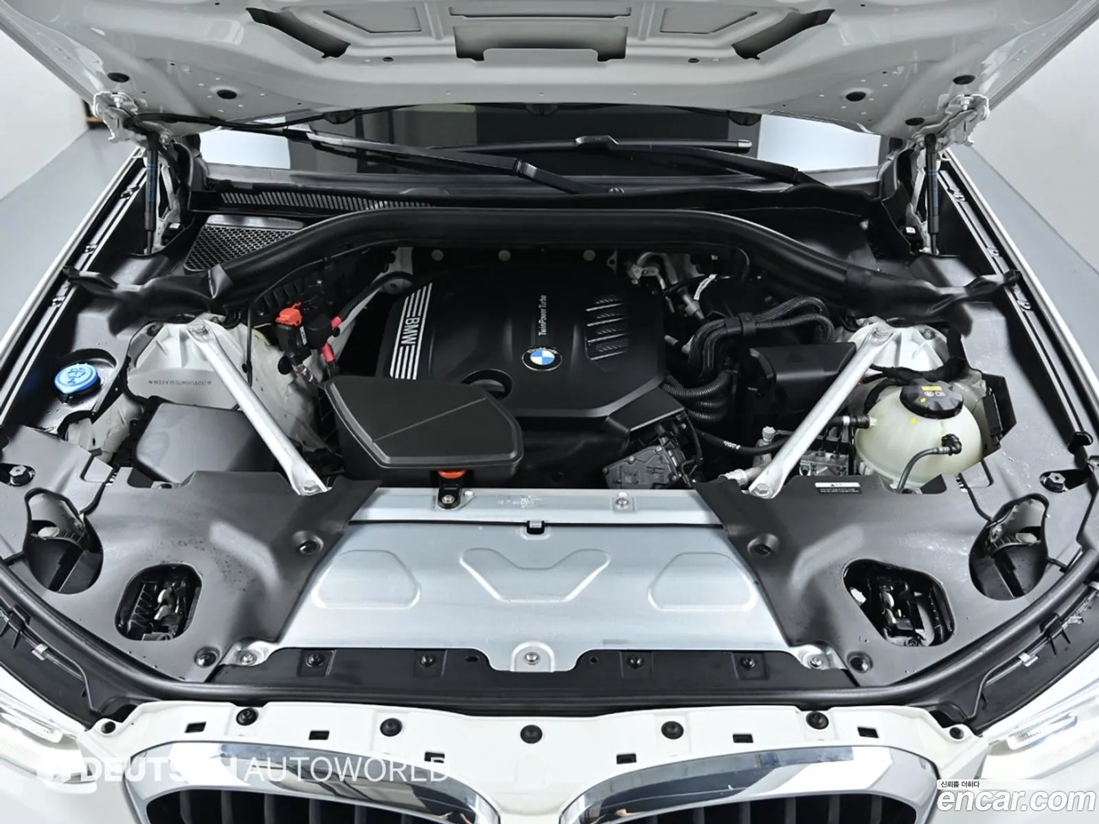 BMW X4 G02 xDrive20D M Sports - фотография 8099839