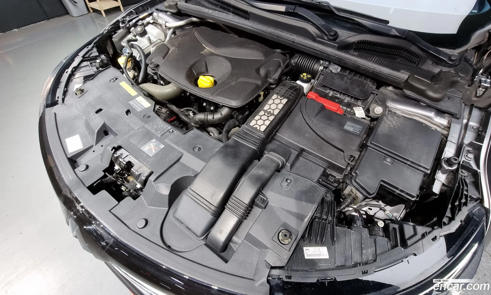 Renault Korea Samsung Sm6 15 Dci Le - фотография 8719575