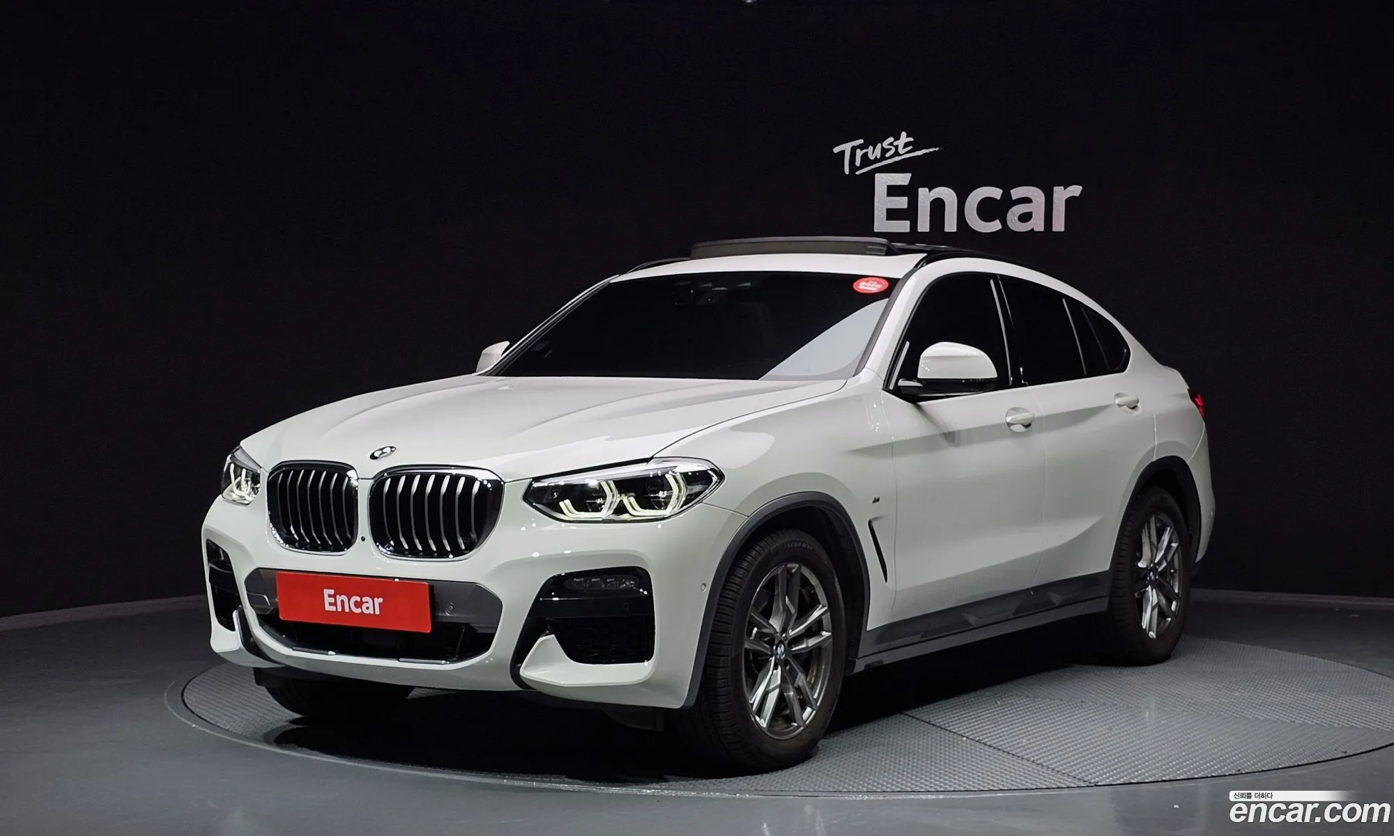 BMW X4 G02 xDrive20I M Sports - фотография 6484723