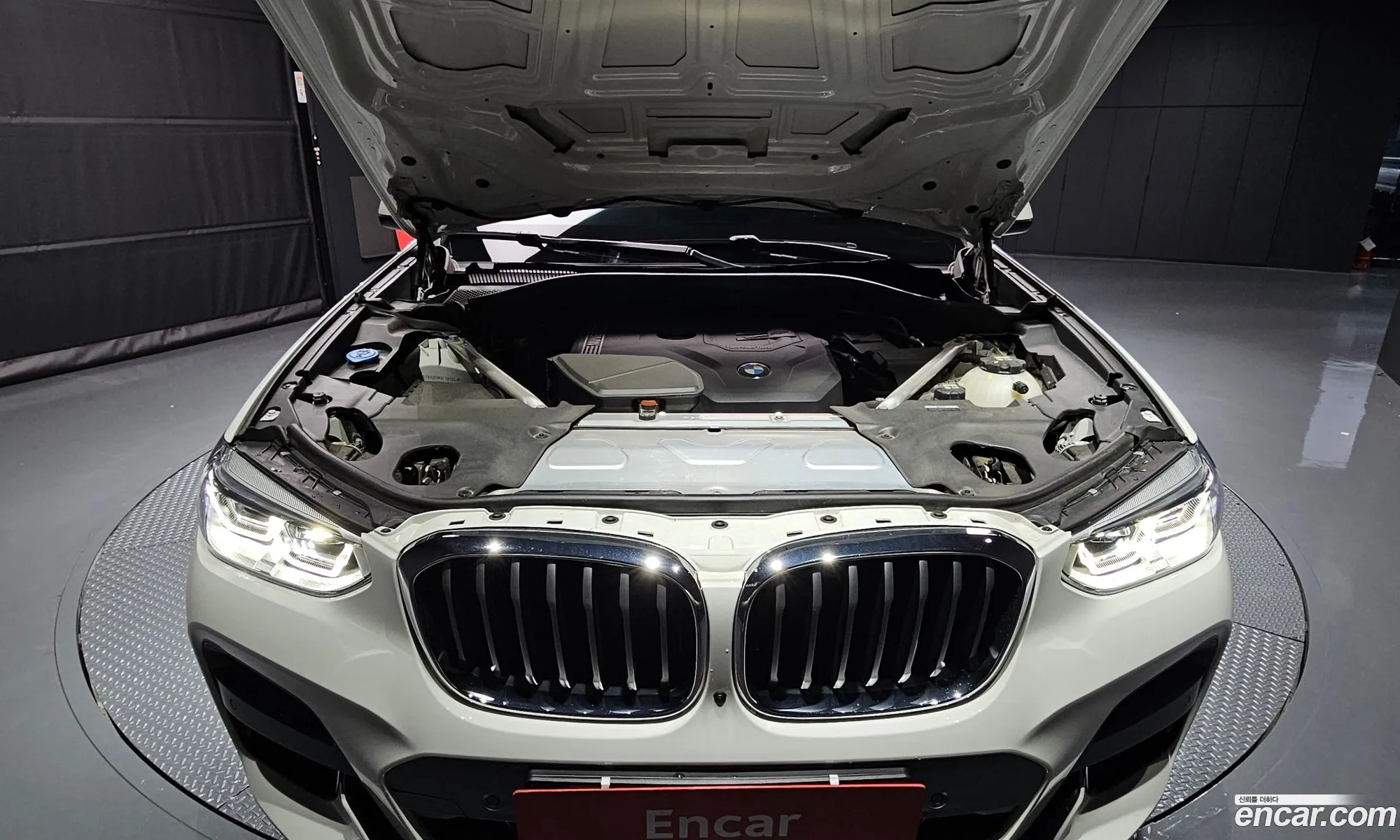 BMW X4 G02 xDrive20I M Sports - фотография 6484728