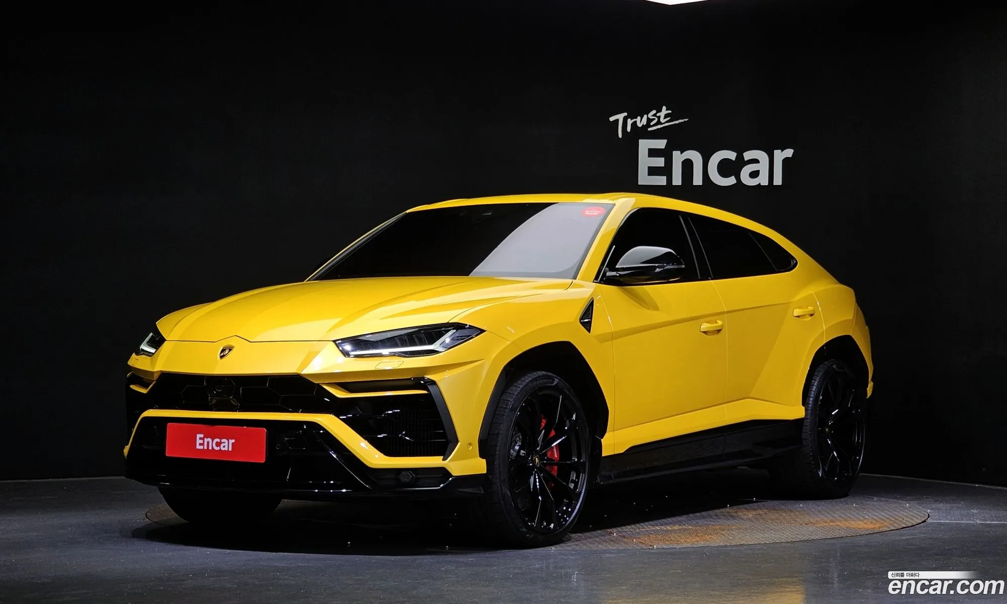 Lamborghini Urus 40 V8 - фотография 3721608