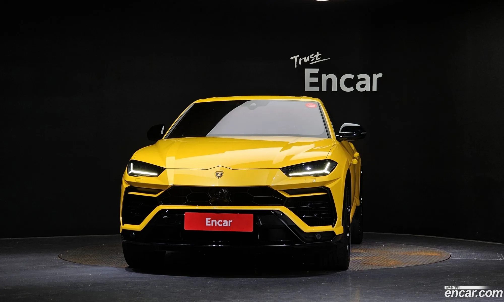 Lamborghini Urus 40 V8 - фотография 3721610