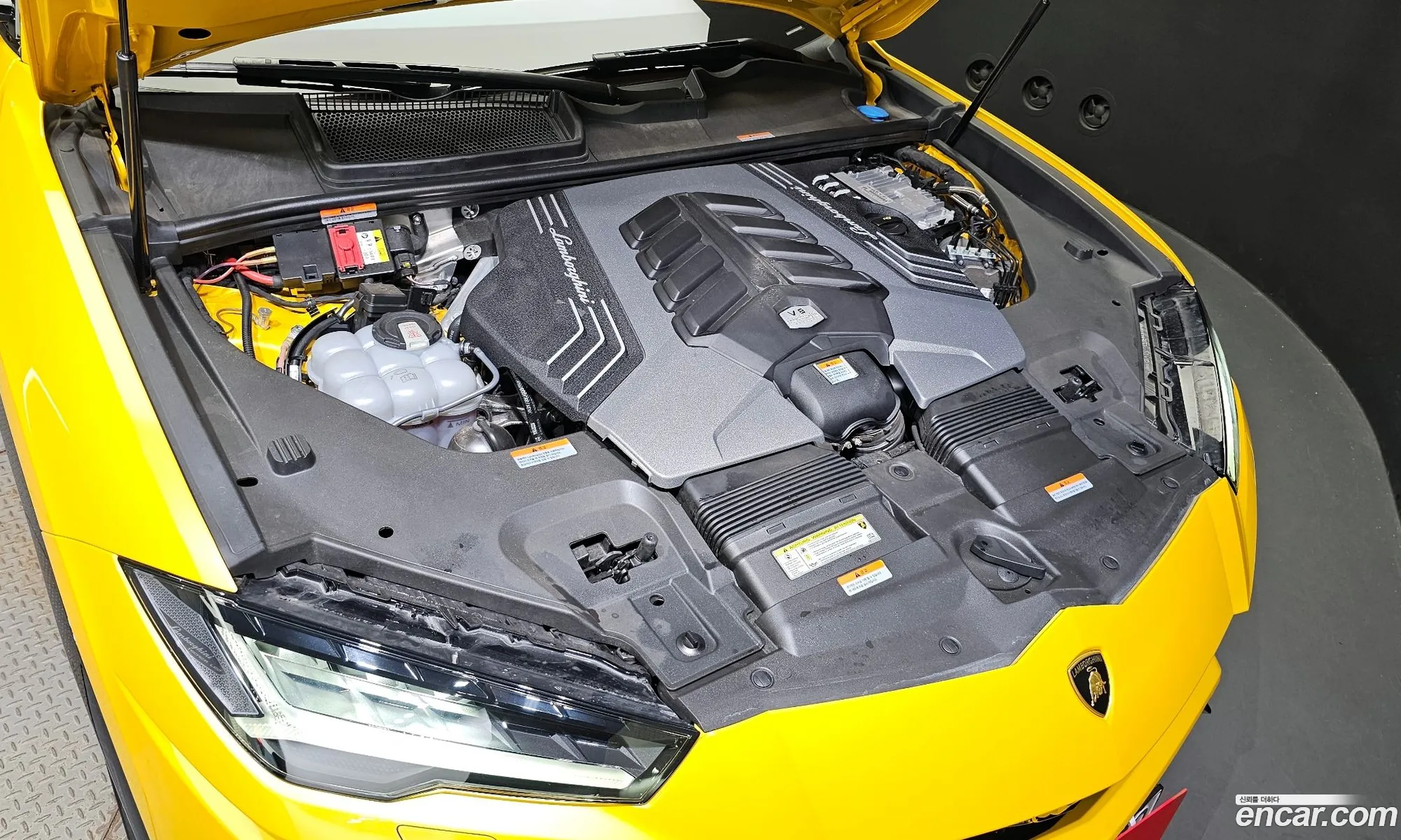 Lamborghini Urus 40 V8 - фотография 3721613