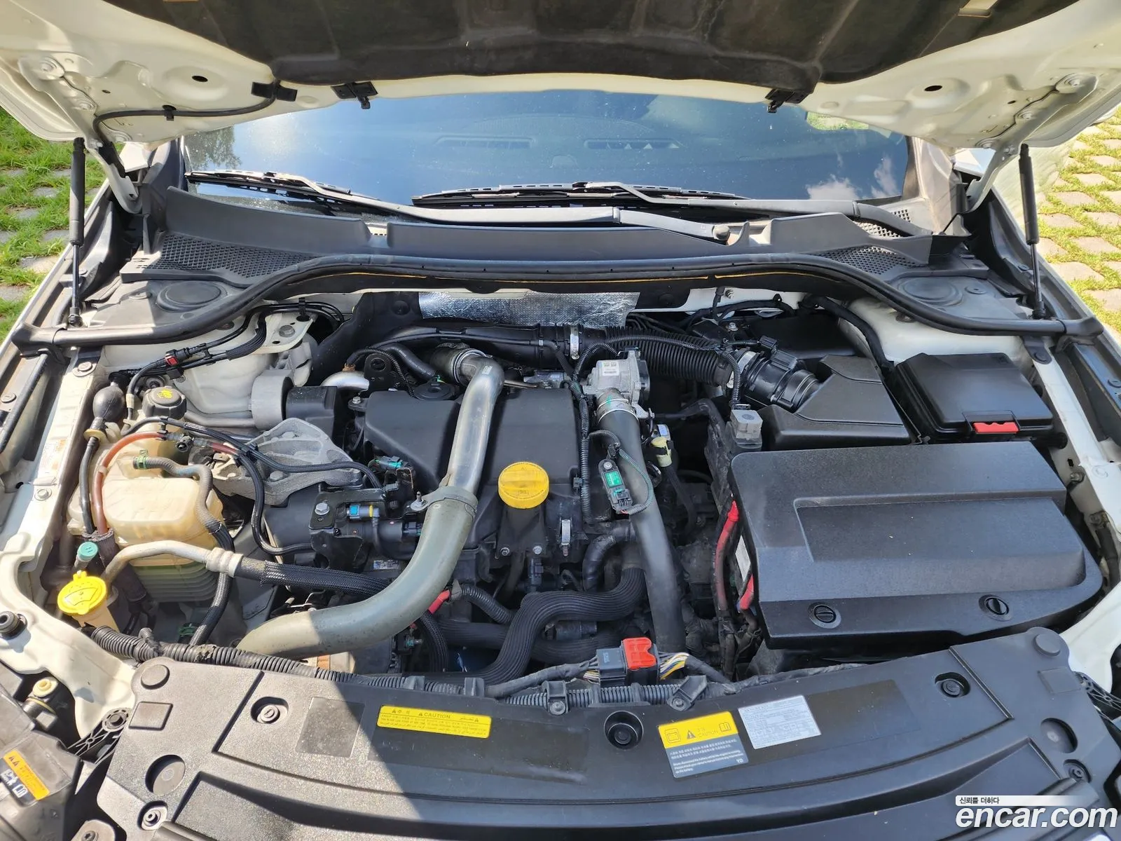 Renault Korea Samsung Sm5 Nova Diesel D Premium - фотография 7882286