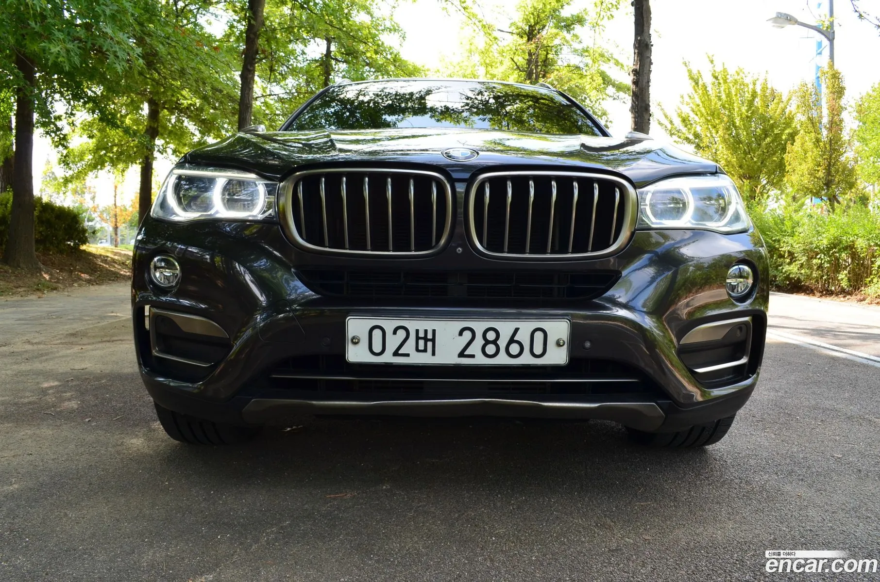 BMW X6 F16 xDrive 40D - фотография 7739171