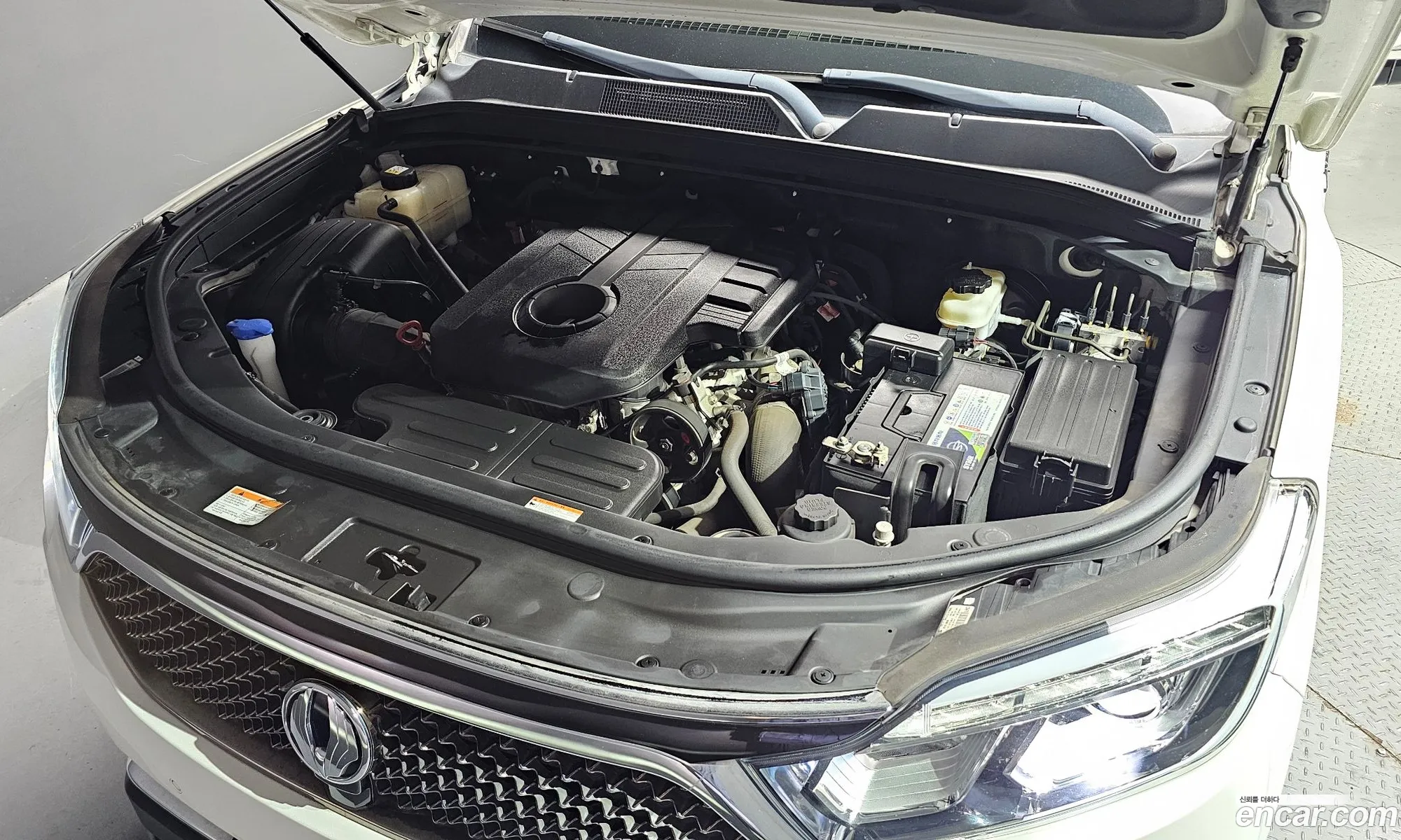 Kg Mobility Ssangyong G4 Rexton Diesel 22 4Wd Eurasia Edition - фотография 6750728