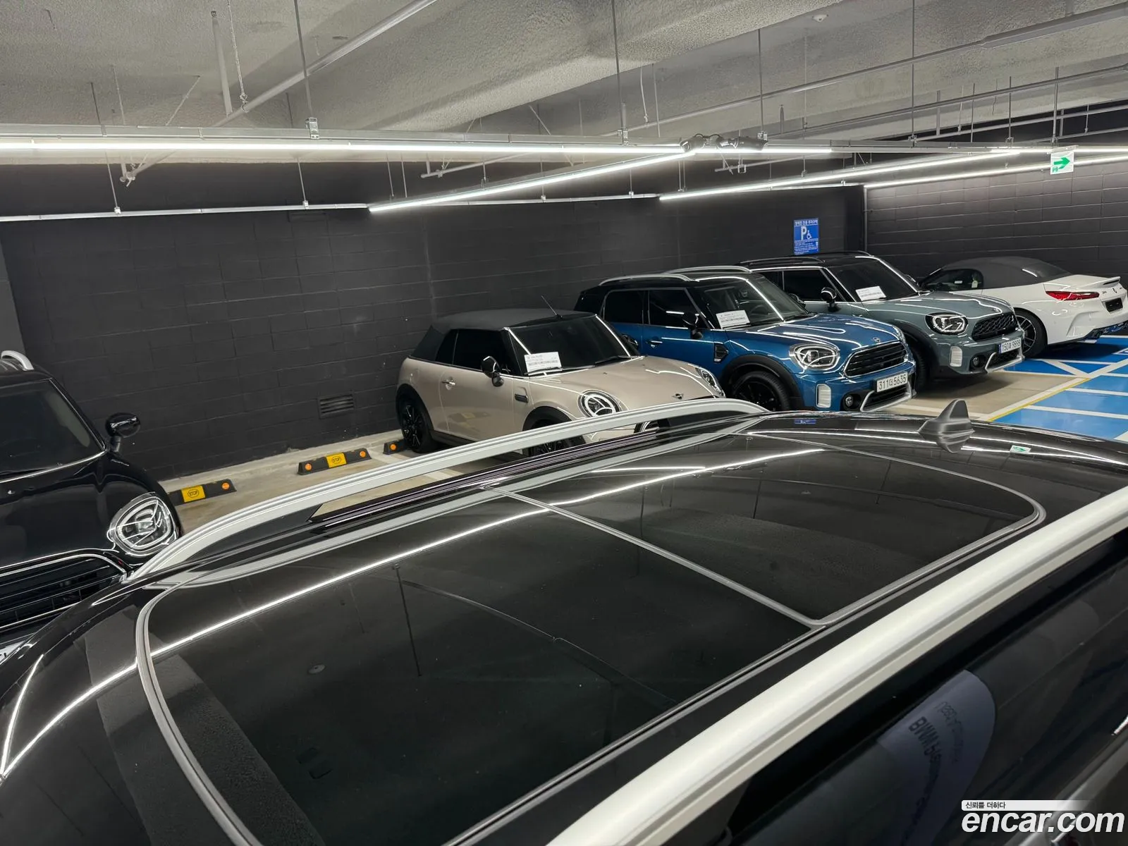 Korex Auto Trade - фотография 945842
