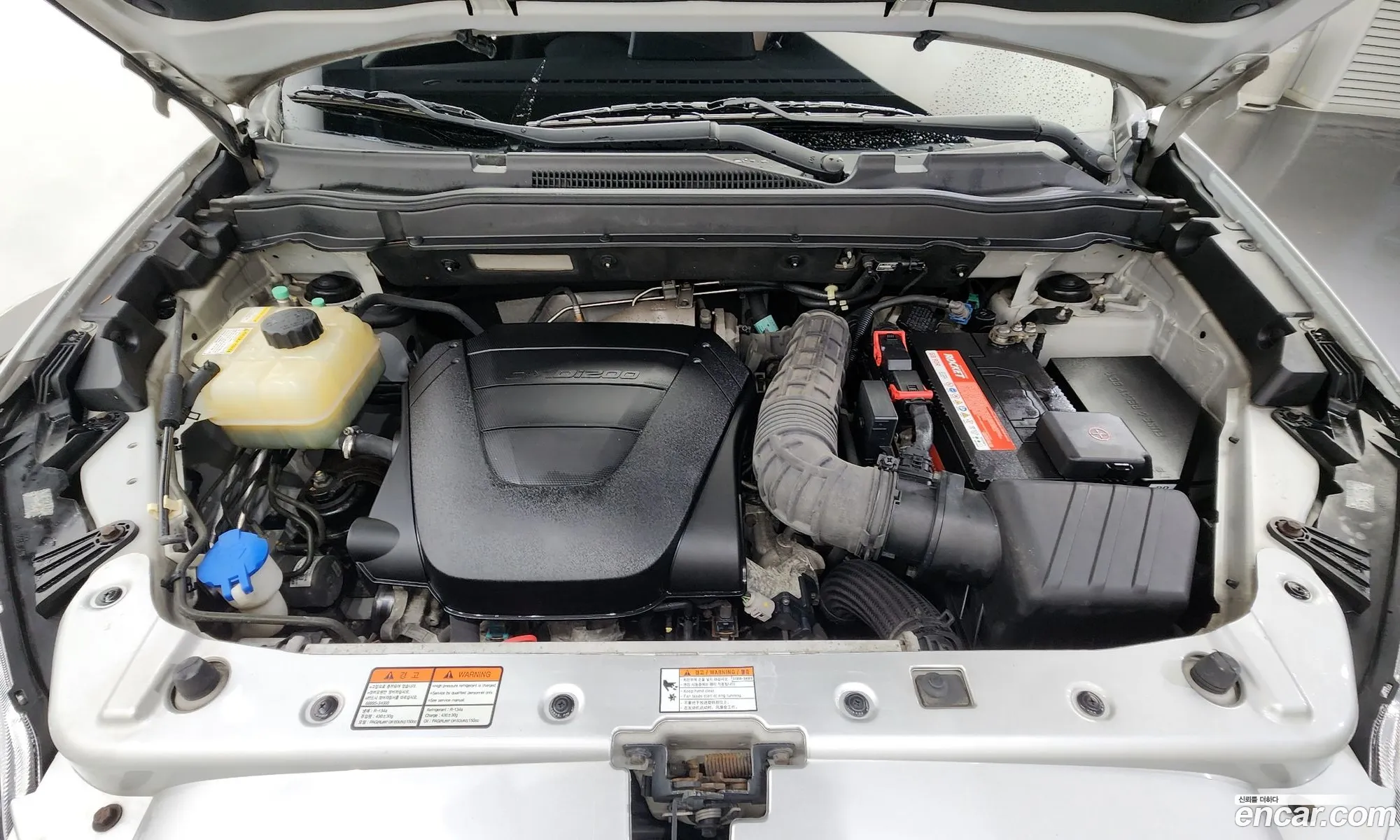Kg Mobility Ssangyong Korando C Clash 2Wd Basic Model - фотография 6778858