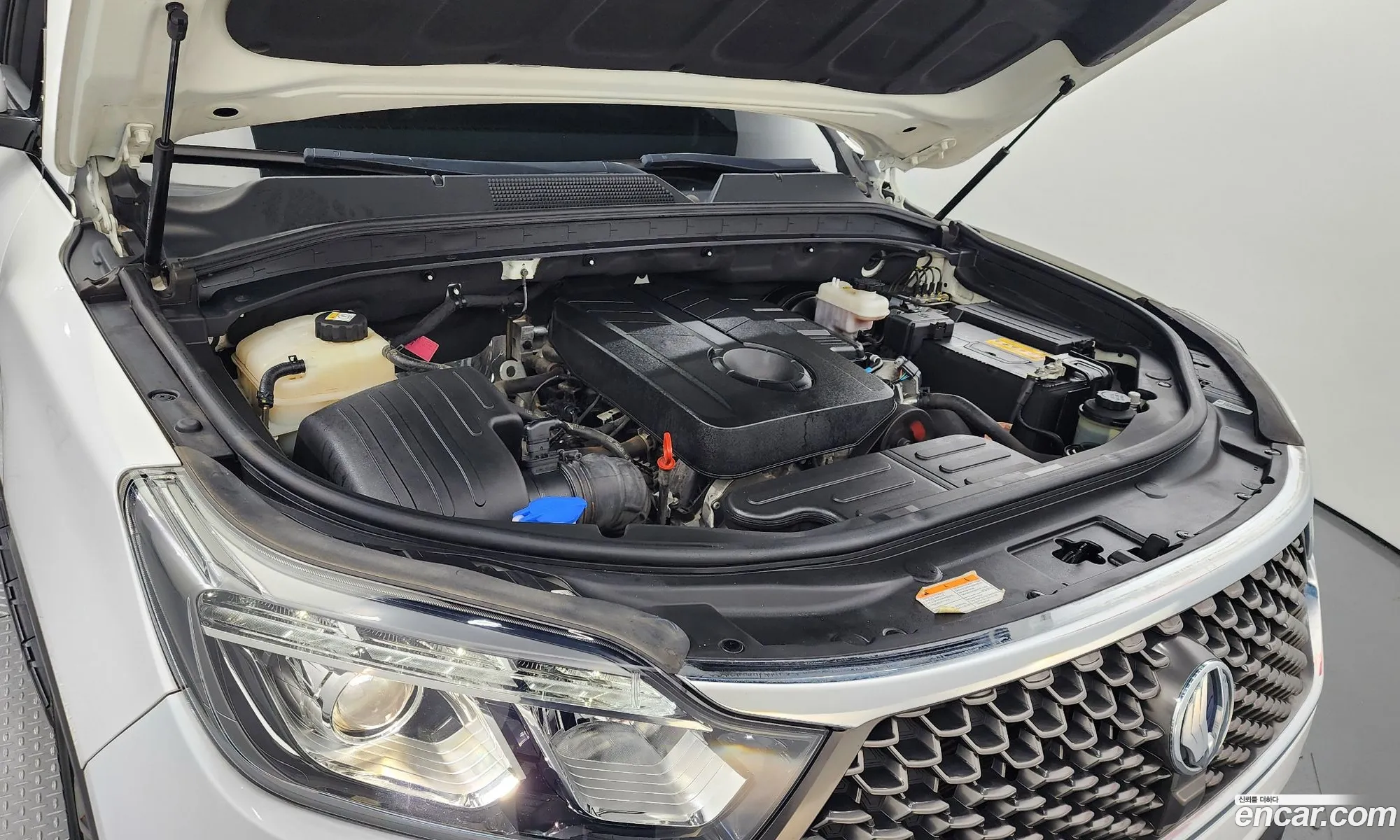 Kg Mobility Ssangyong G4 Rexton Diesel 22 4Wd White Edition - фотография 6609099