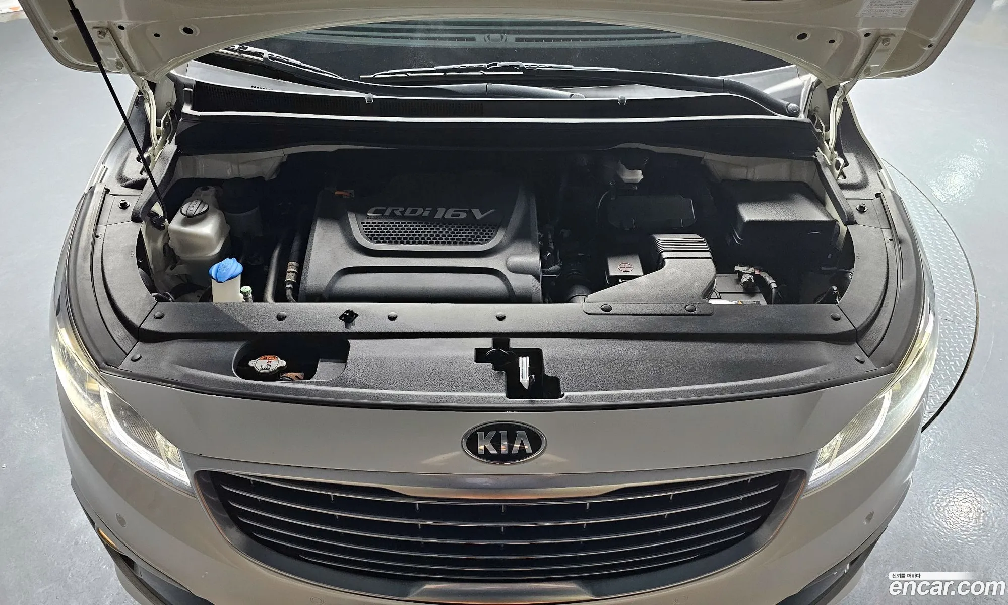 Kia All New Carnival 9-Seater Noblesse - фотография 15779948