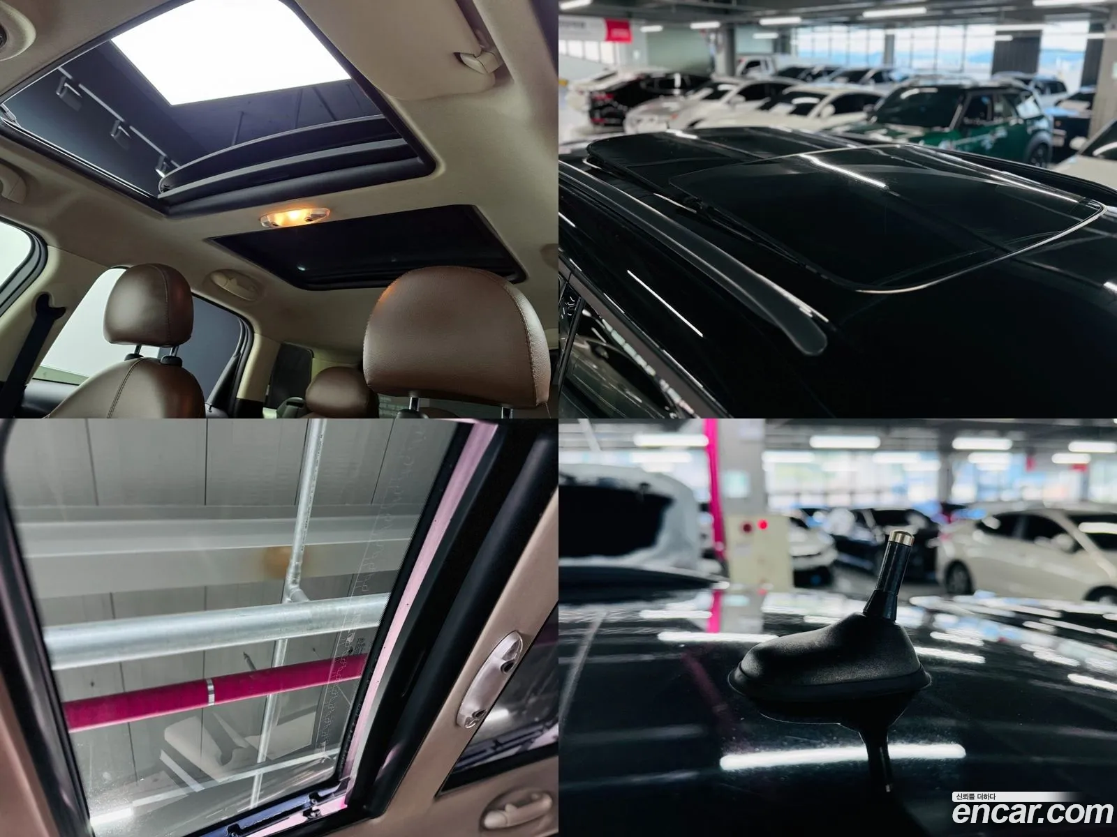 Korex Auto Trade - фотография 1032090