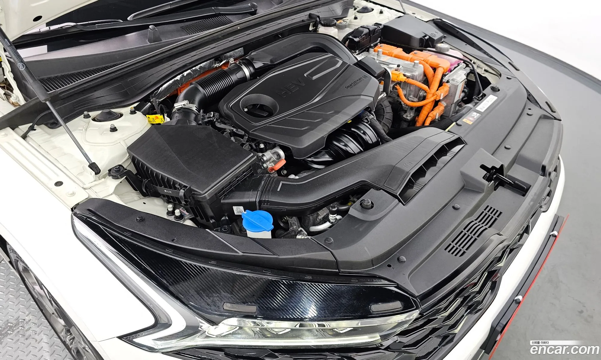 Kia K5 Hybrid 3Rd Generation Signature - фотография 12581211