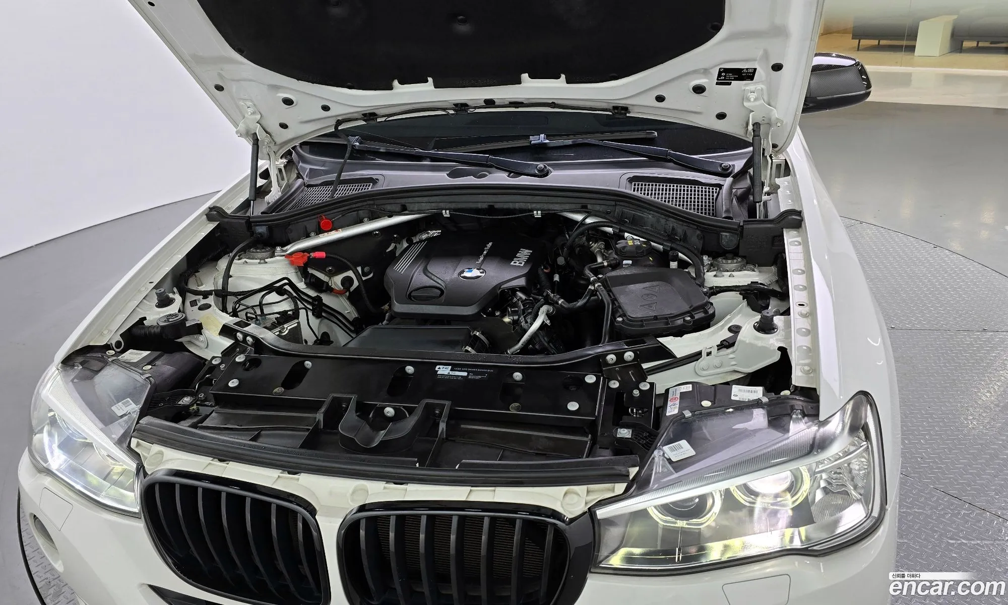 BMW X4 F26 xDrive20D Sac Edition - фотография 4981655