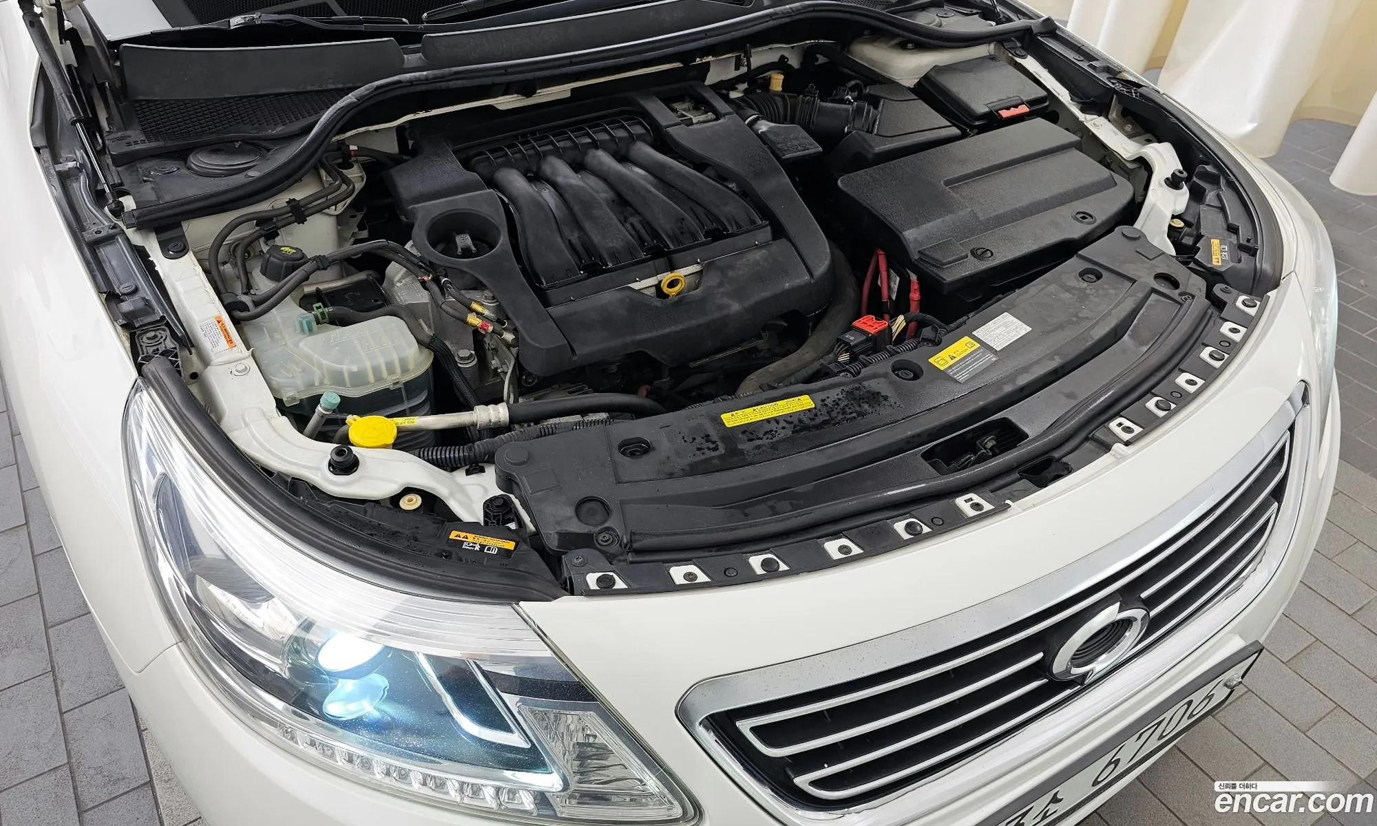 Renault Korea Samsung New Sm5 Platinum Lpli Se Plus - фотография 8832649