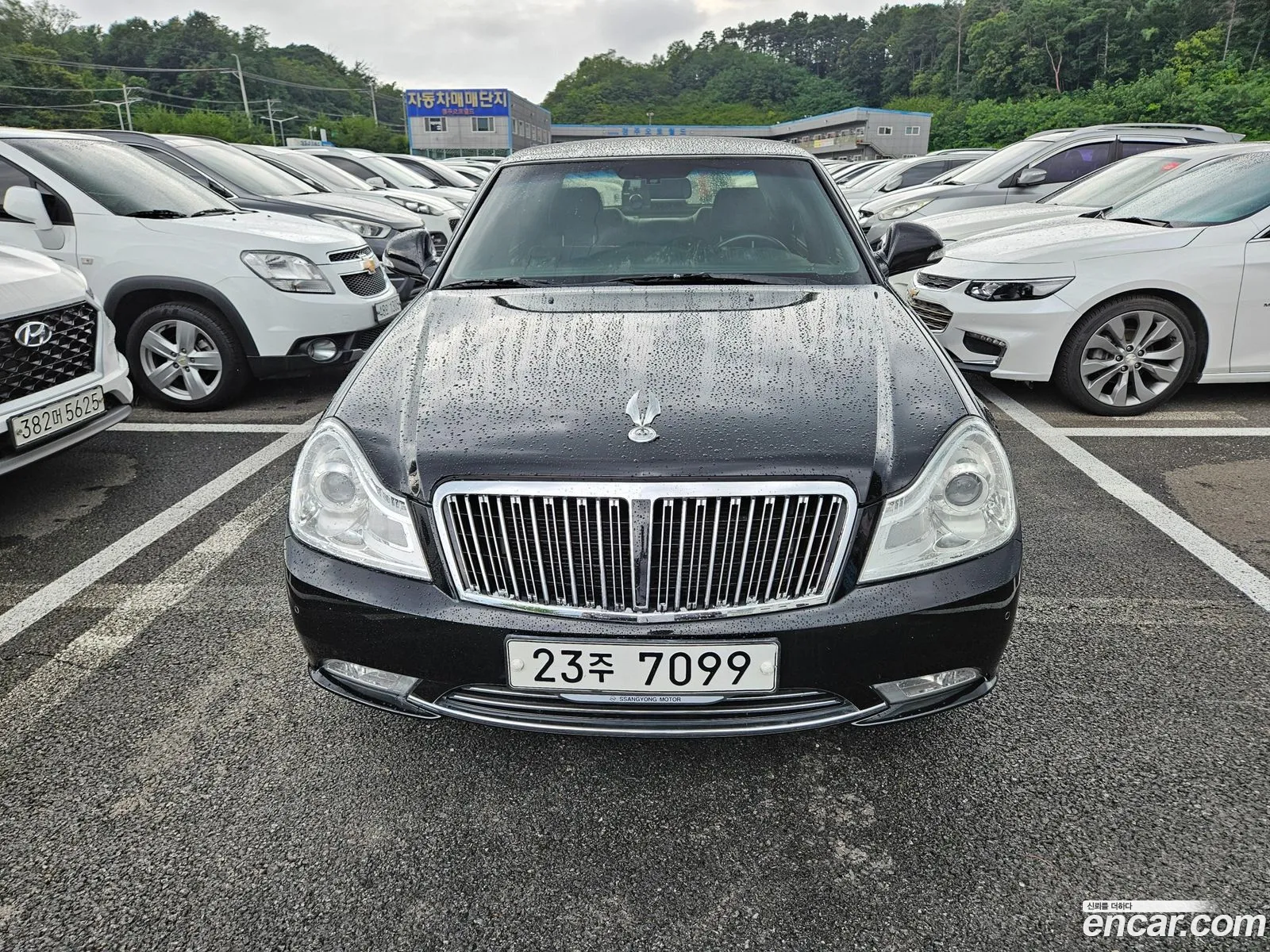 Kg Mobility Ssangyong Chairman H New Classic 500S Premium Type - фотография 6778877