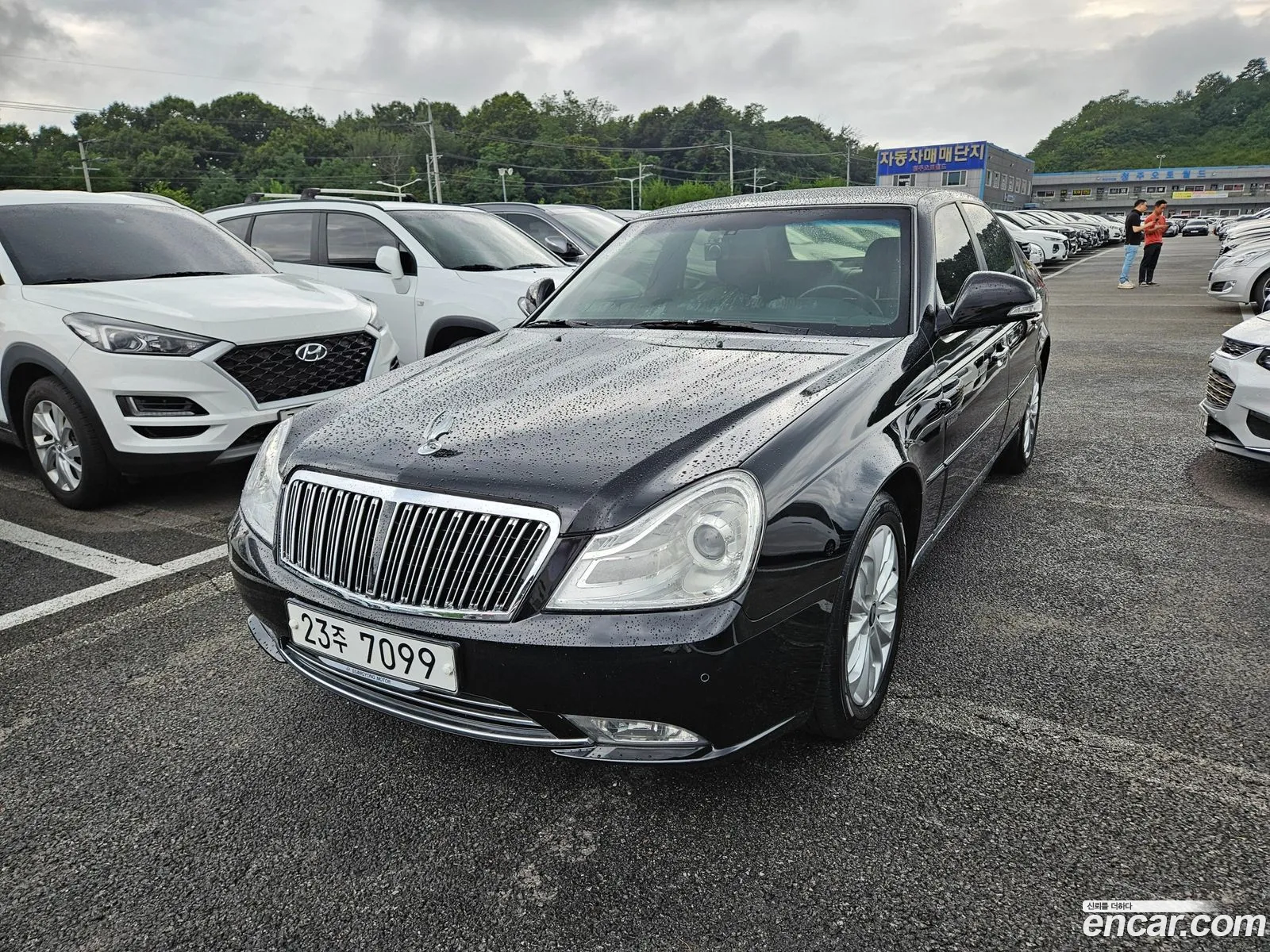 Kg Mobility Ssangyong Chairman H New Classic 500S Premium Type - фотография 6778878