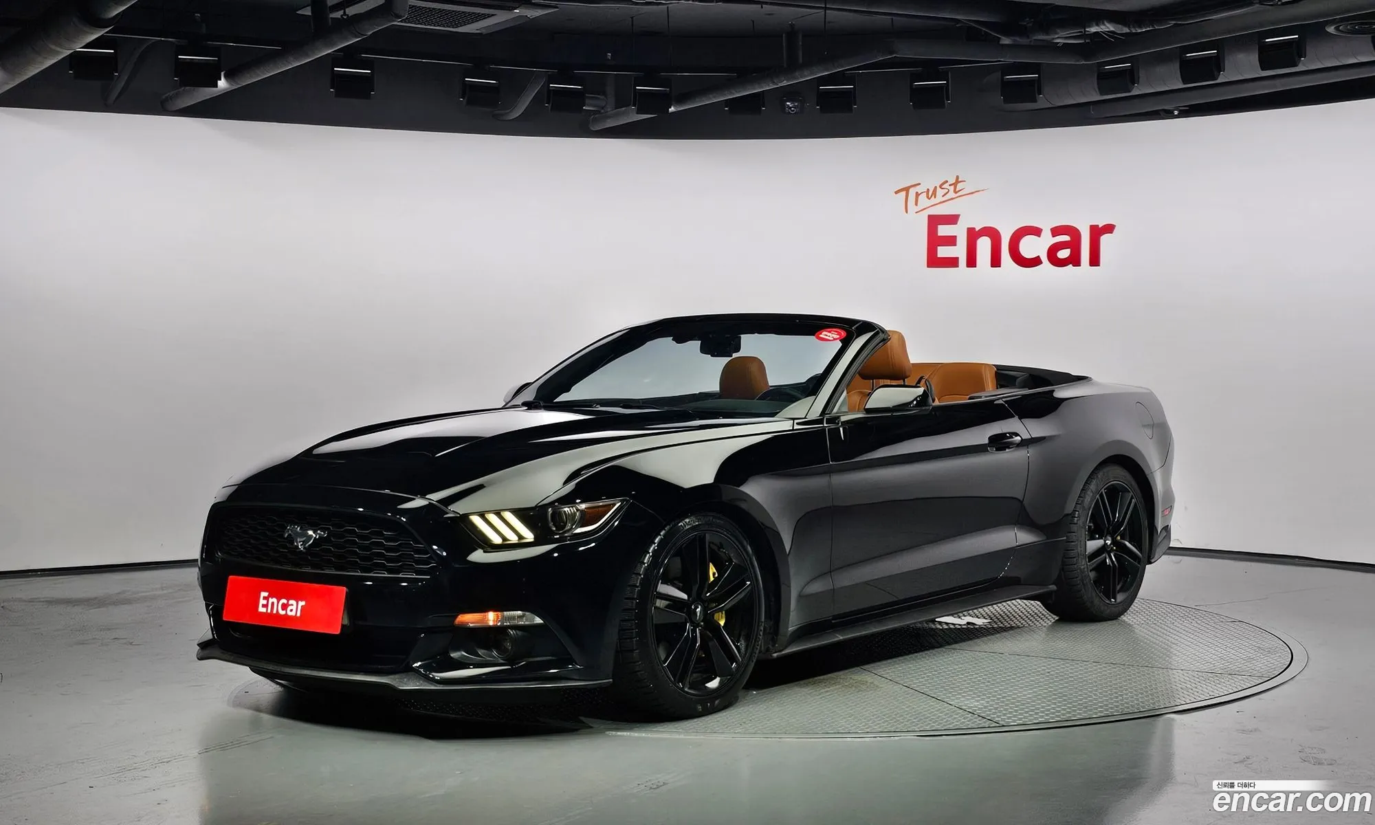 Ford Mustang Convertible - фотография 4625647