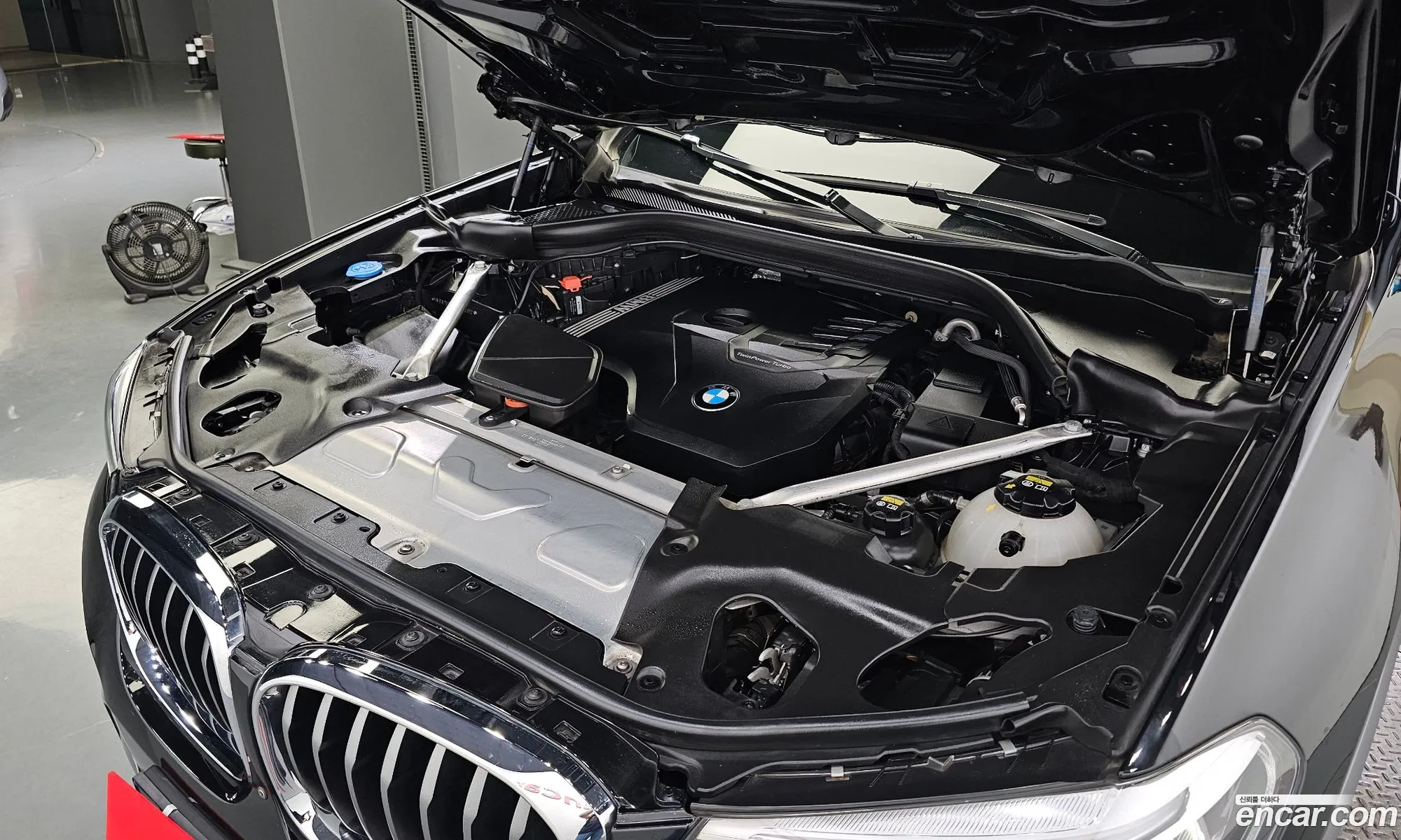 BMW X4 G02 xDrive20I M Sport - фотография 4729106