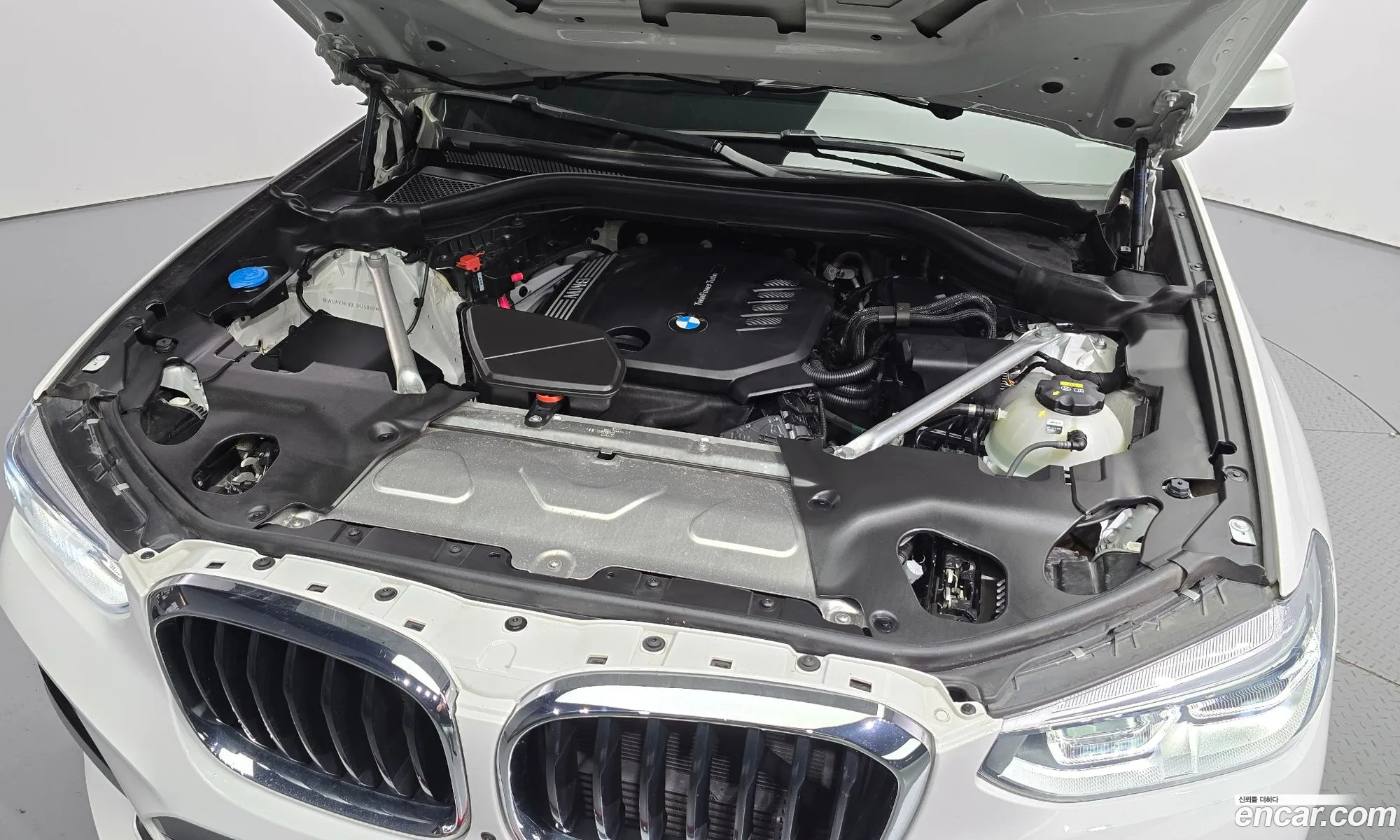 BMW X4 G02 xDrive20D M Sports - фотография 4612782