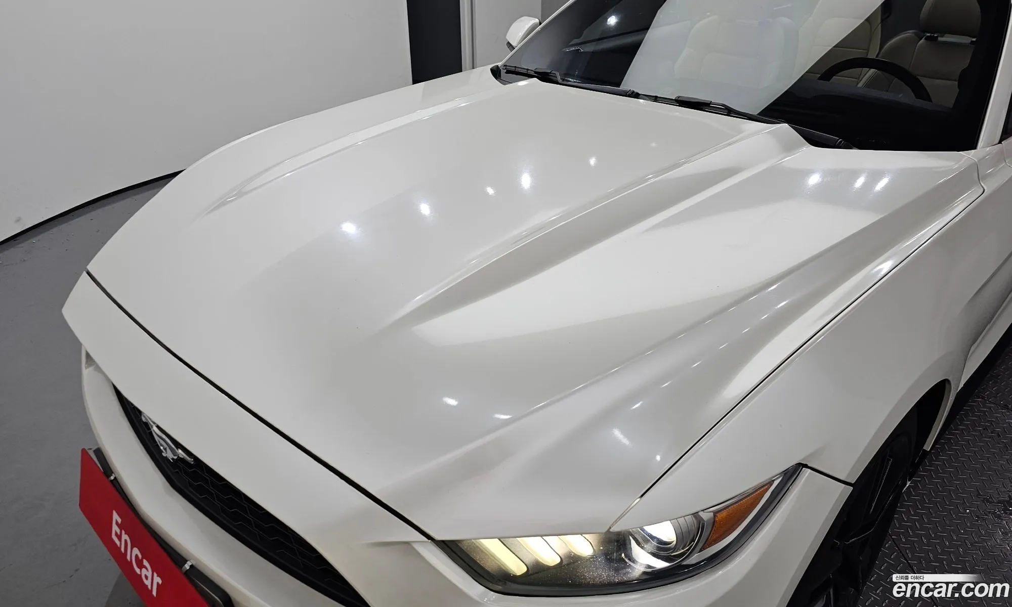 Ford Mustang Convertible - фотография 18052979