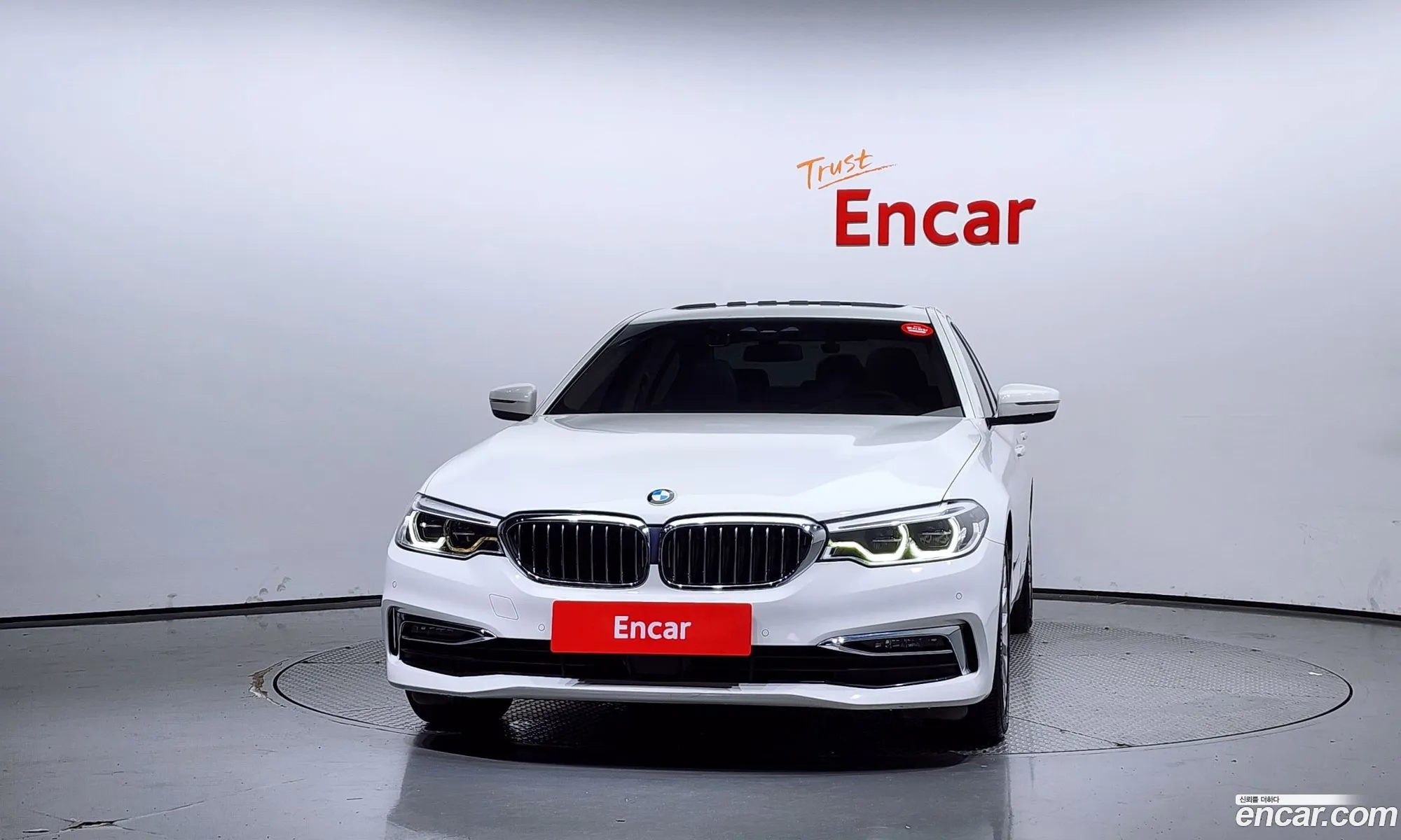 BMW 5 Series G30 530I Luxury Plus - фотография 4616830