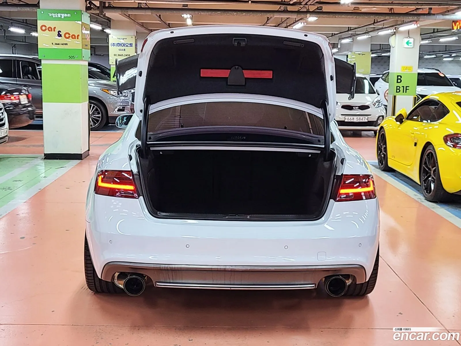 Audi S5 30 Tfsi Quattro B8 - фотография 1535820