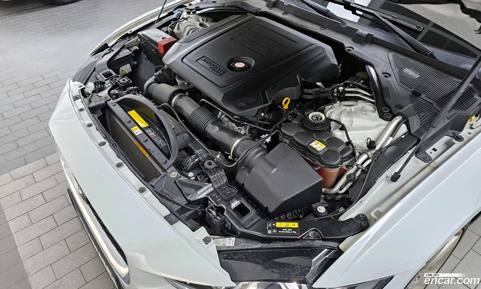 Jaguar Xe 20D Portfolio - фотография 4196777