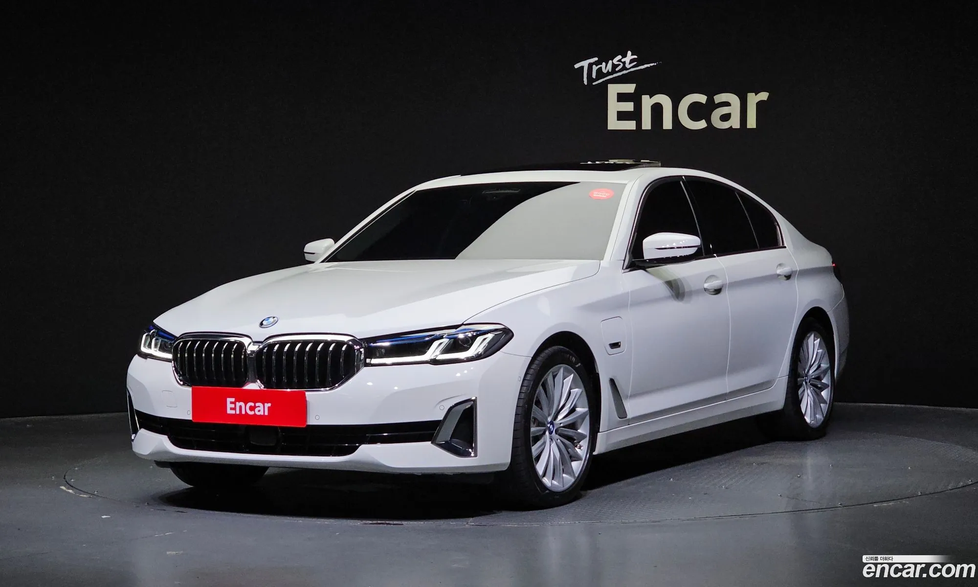 BMW 5 Series G30 530E Luxury - фотография 12009307