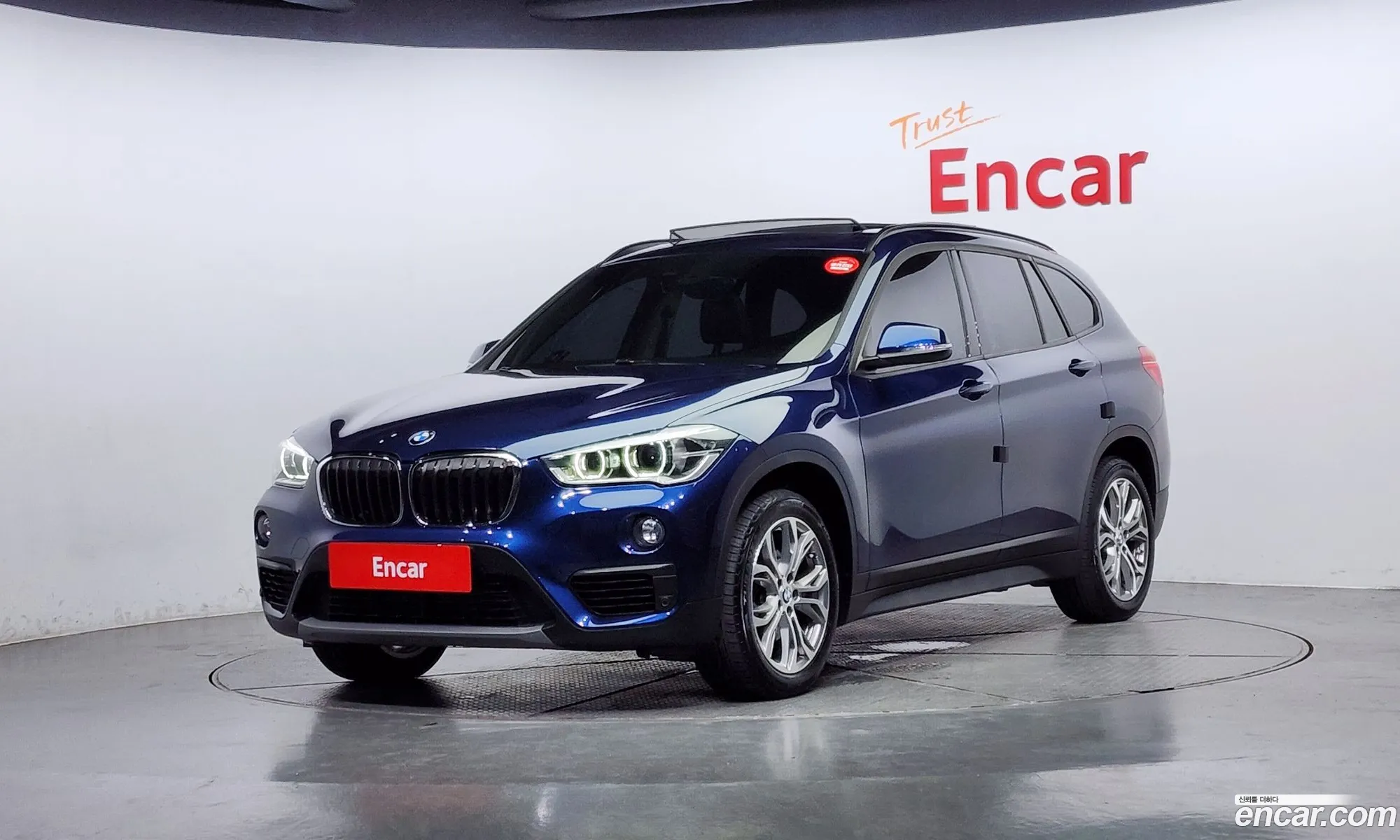 BMW X1 F48 xDrive 18D Joy - фотография 31089