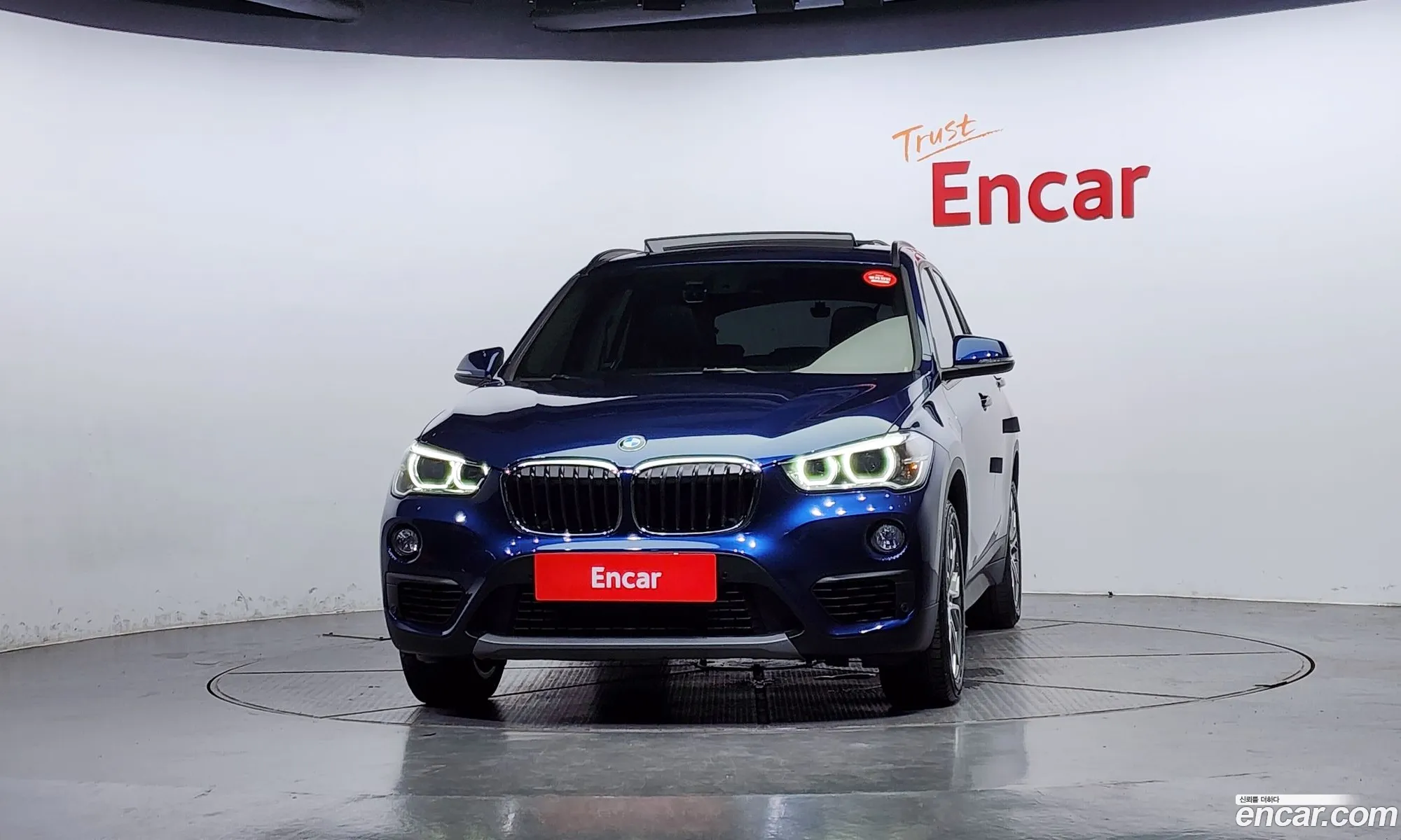 BMW X1 F48 xDrive 18D Joy - фотография 31091