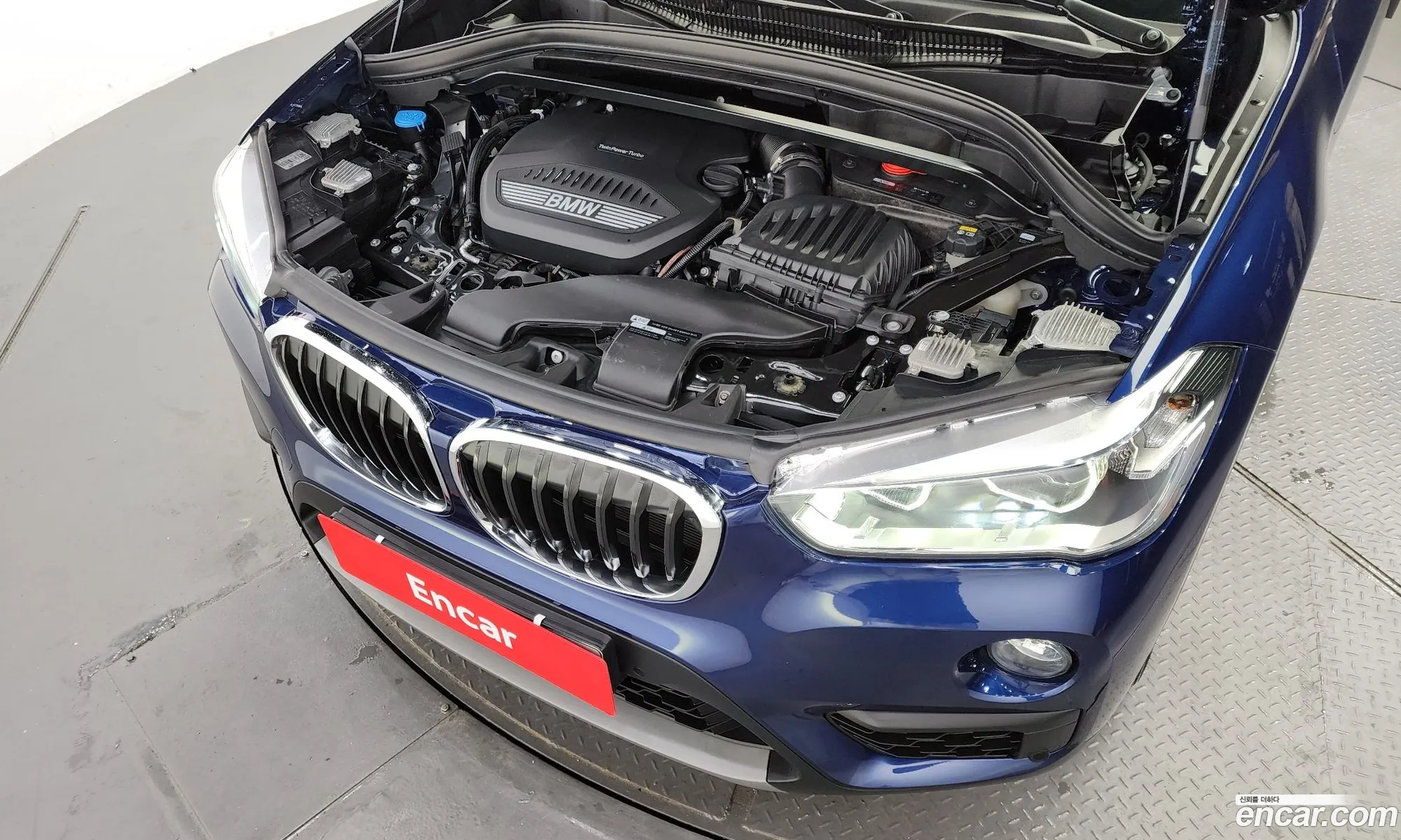BMW X1 F48 xDrive 18D Joy - фотография 31094