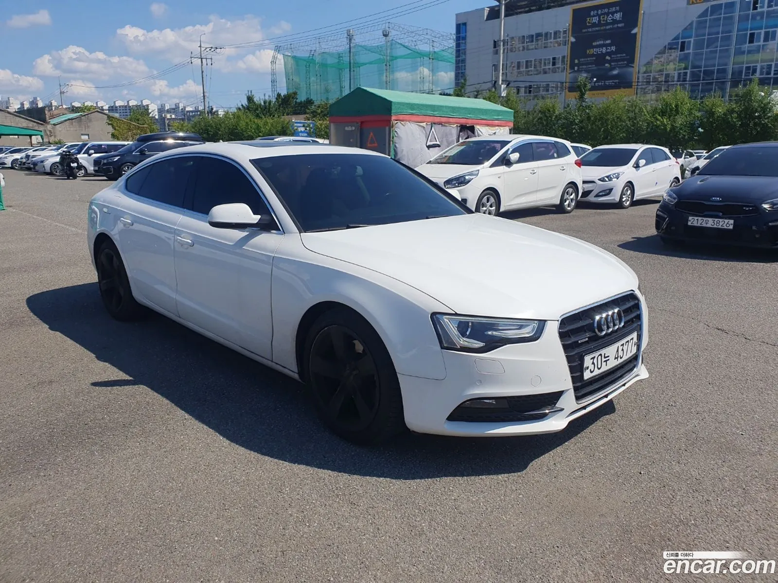 Audi A5 35 Tdi Quattro Sportback 8Ta - фотография 1547556
